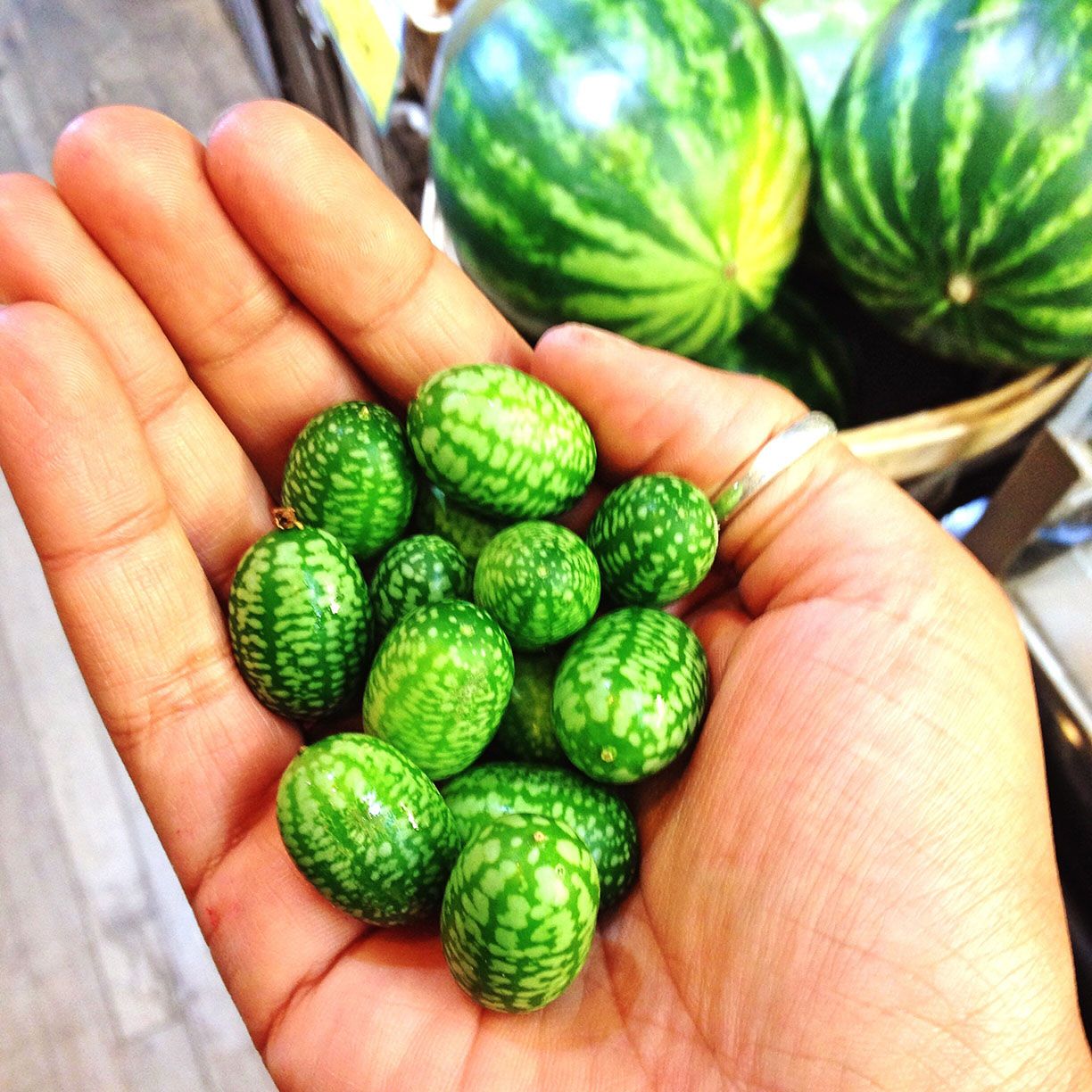 Fresh Cucamelon Fruits – Tiny Watermelon-Like Fruits with Crisp Texture