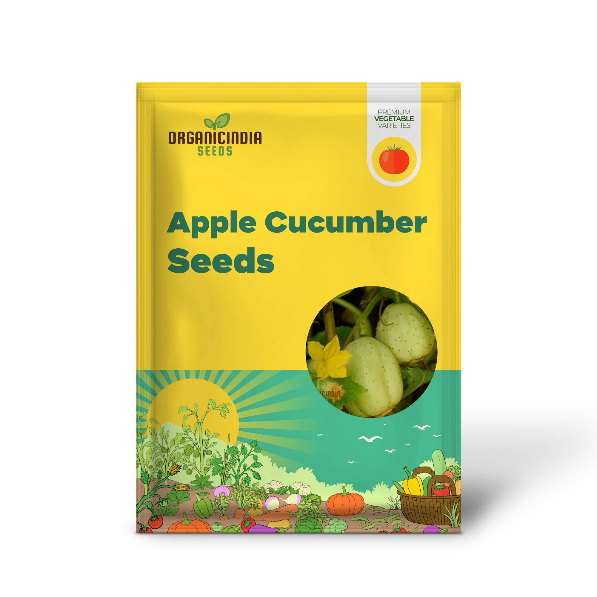 Crystal Apple Cucumber Seedling Growing in Garden, Easy-to-Grow Vegetable Seeds