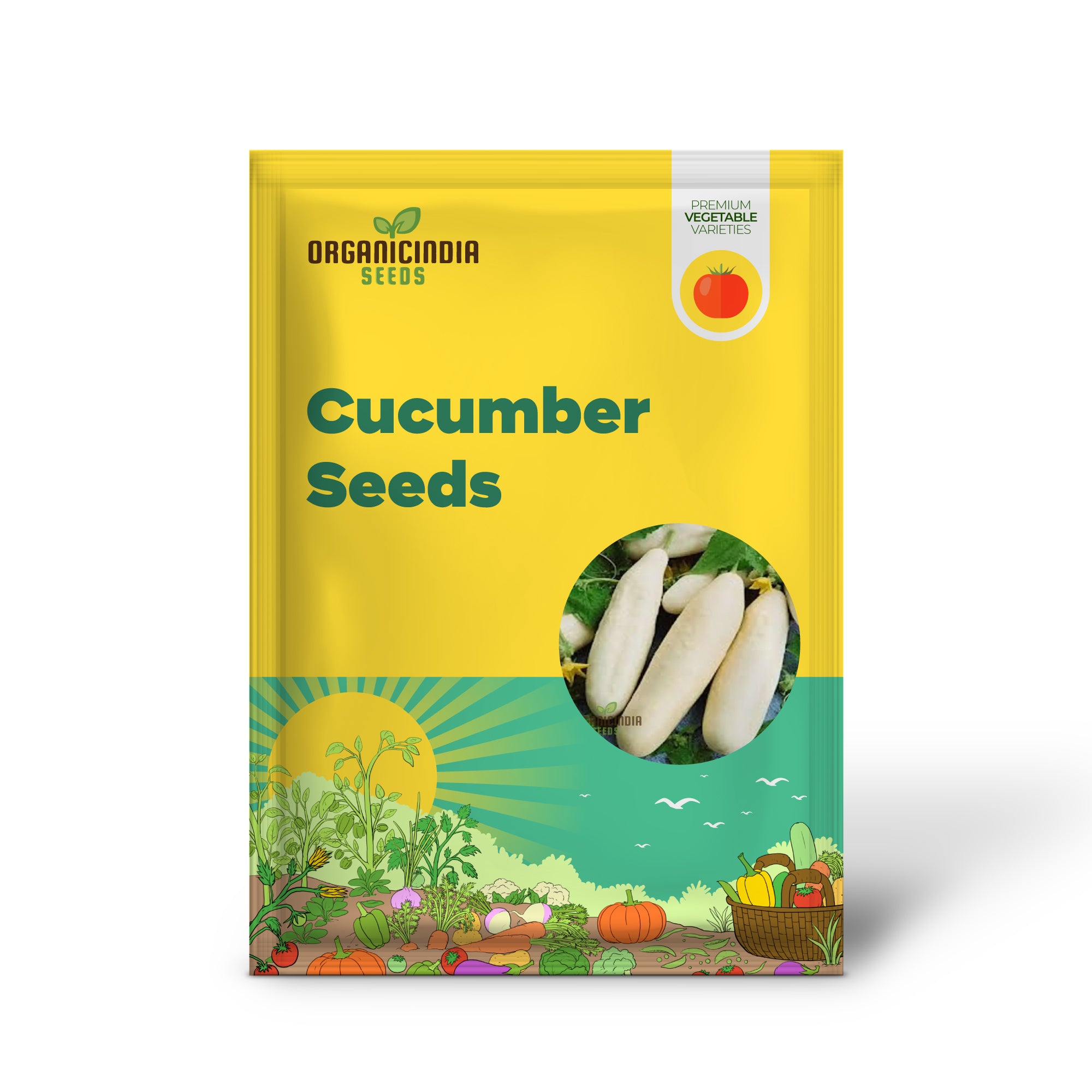White Cucumber Seedlings Growing from Seeds, Home Garden Vegetable