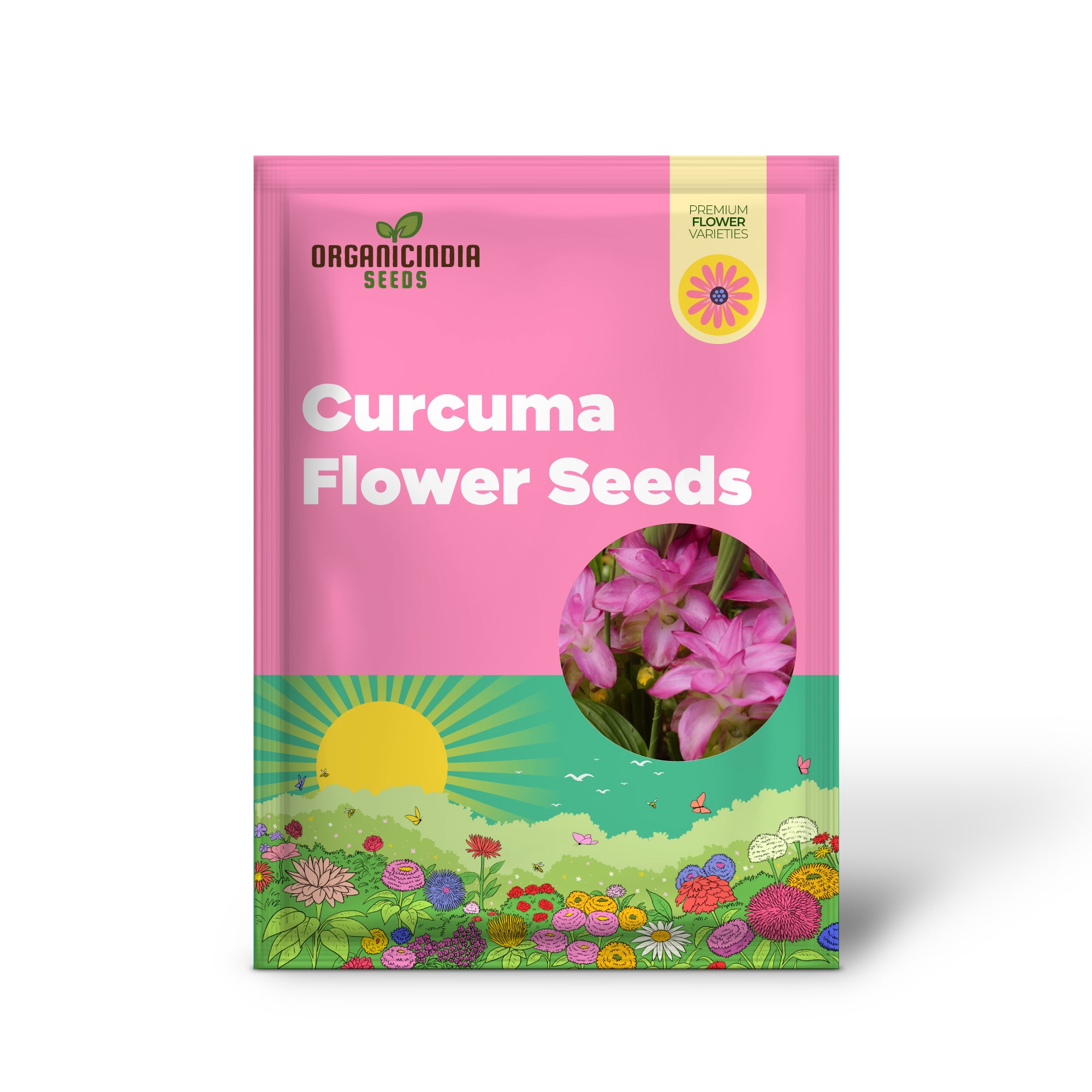 Curcuma tropical flower seeds for warm climate gardens