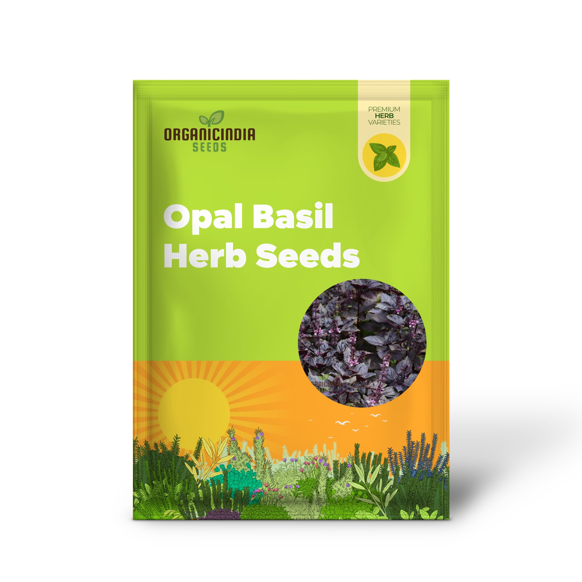 Dark Opal Basil with Deep Purple Aromatic Leaves