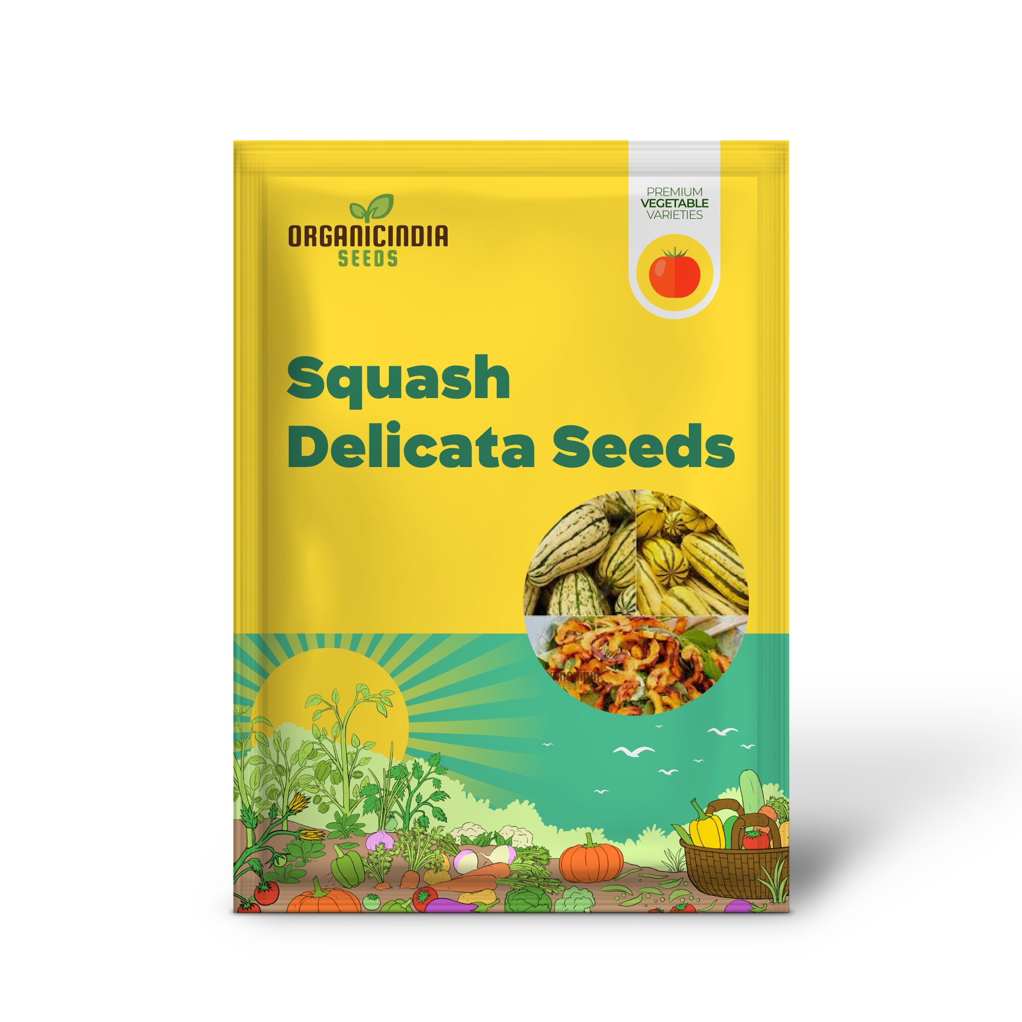 Delicata Squash Seedling Growing, Easy-to-Grow Vegetable Seeds