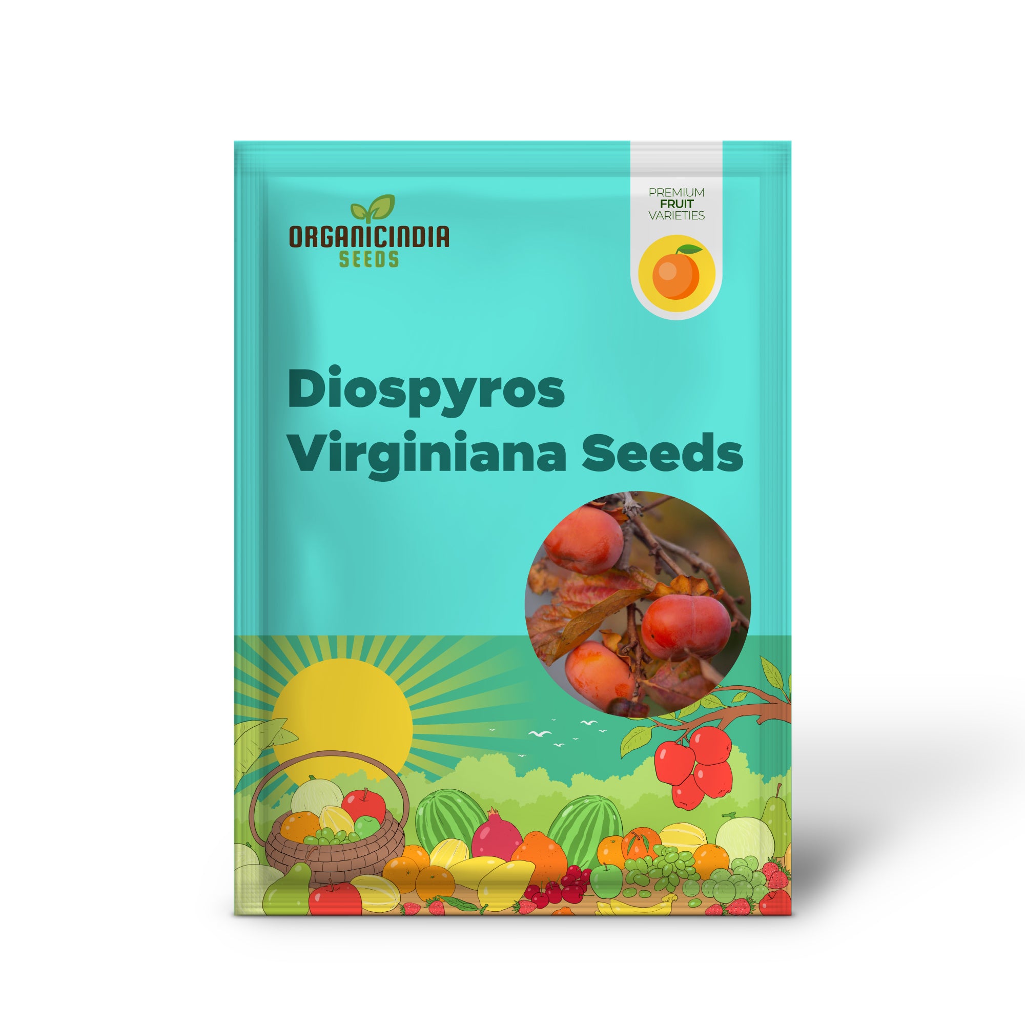 Diospyros virginiana seeds for growing sweet American persimmon trees