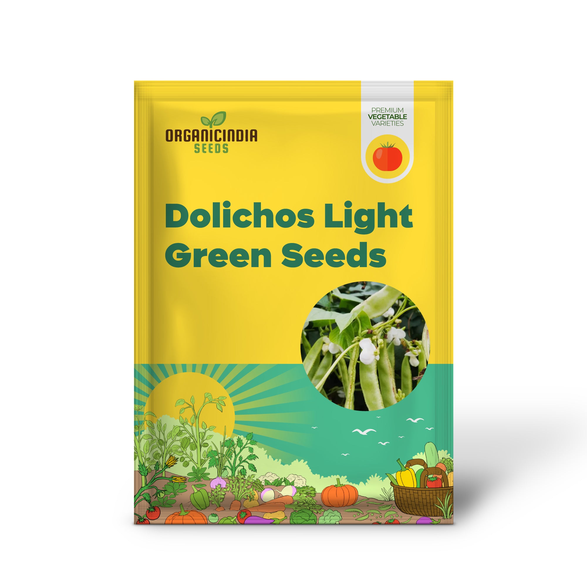 Dolichos Light Green Seedling Growing in Home Garden