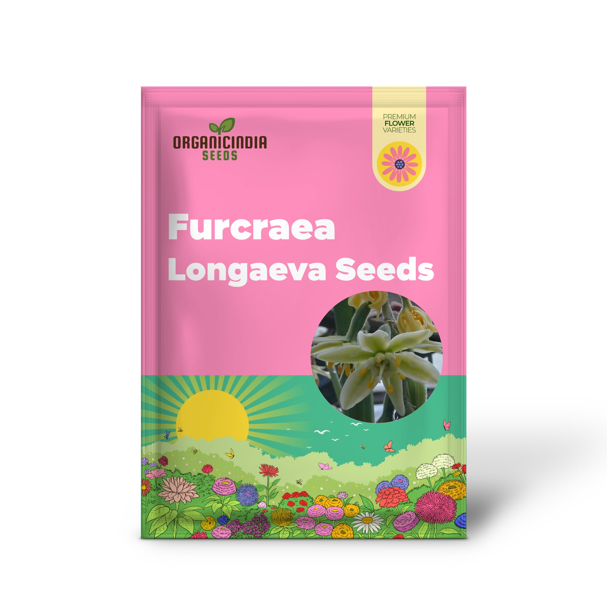 Drought Tolerant Furcraea Longaeva Seeds for Low-Water Gardens