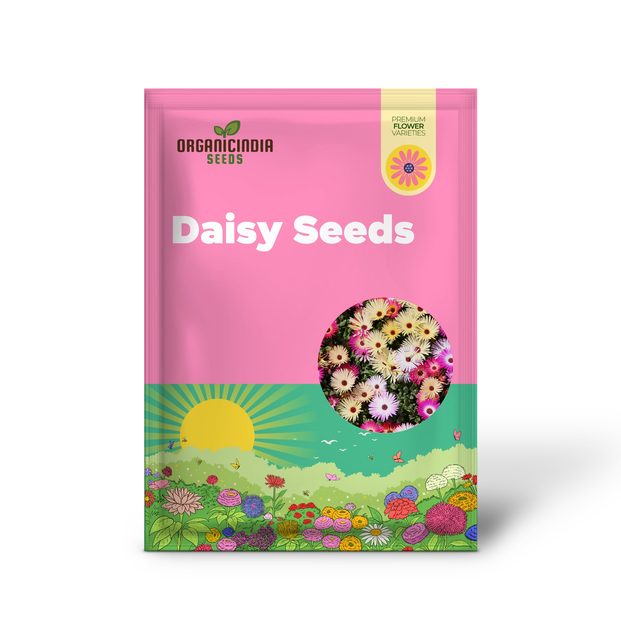 Drought Tolerant Livingstone Daisy Seeds for Sunny Garden Areas