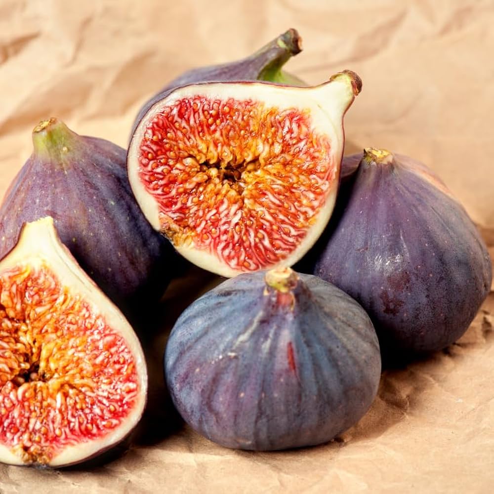 Edible fig seeds for planting in warm climates