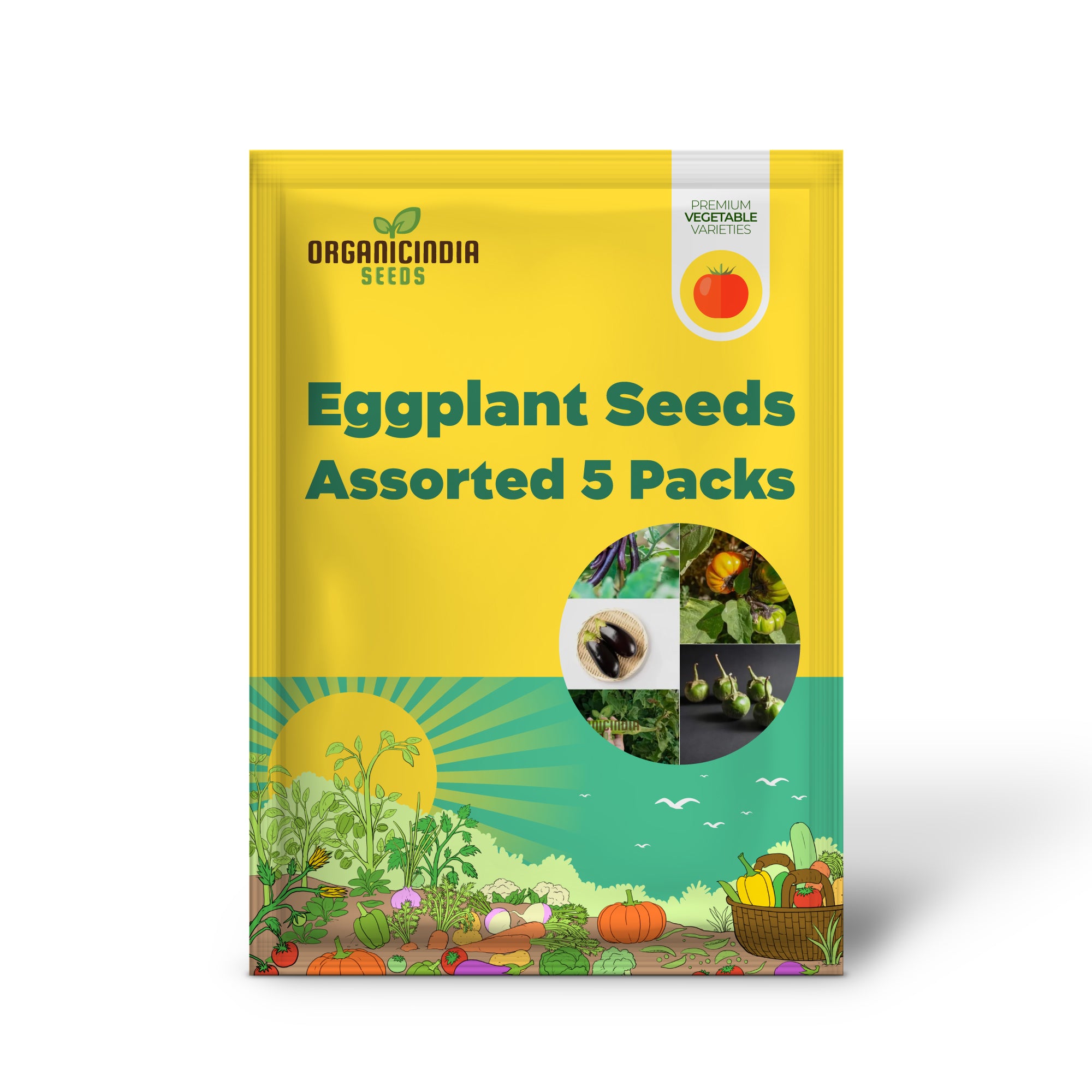 Assorted Eggplant Seedlings Growing in Home Garden