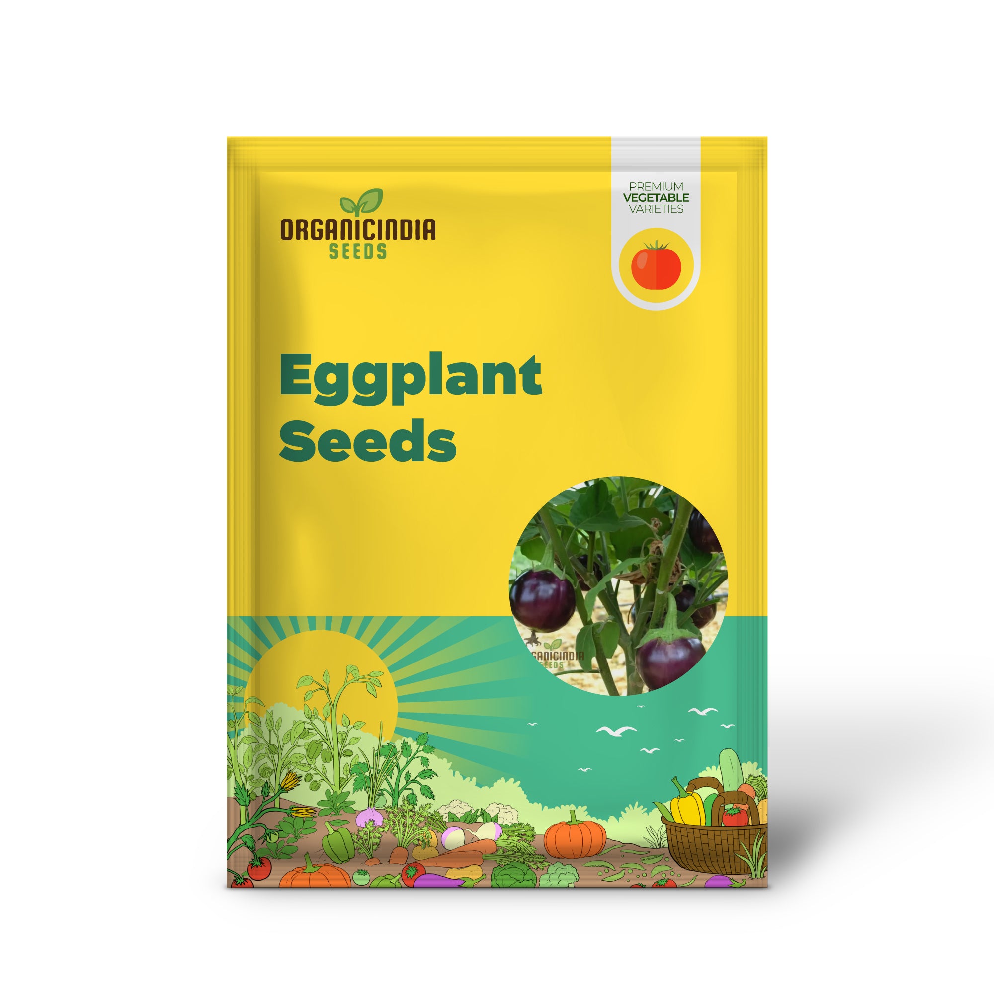 Round Purple Eggplant Seedling in Garden, High-Yield Vegetable Plants