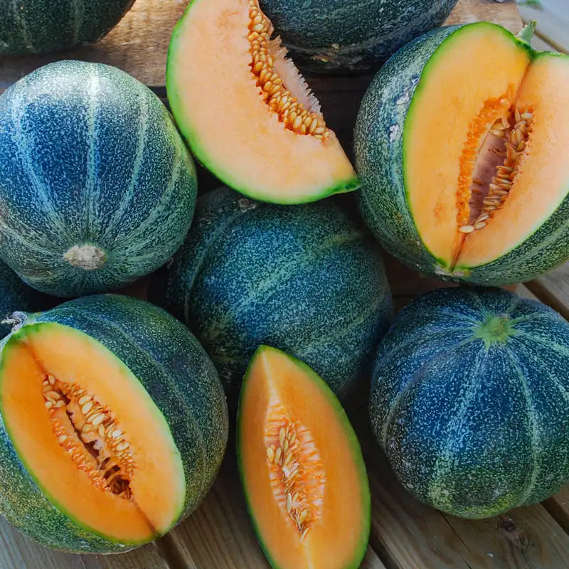 Emerald Gem Melon Seeds Non-GMO