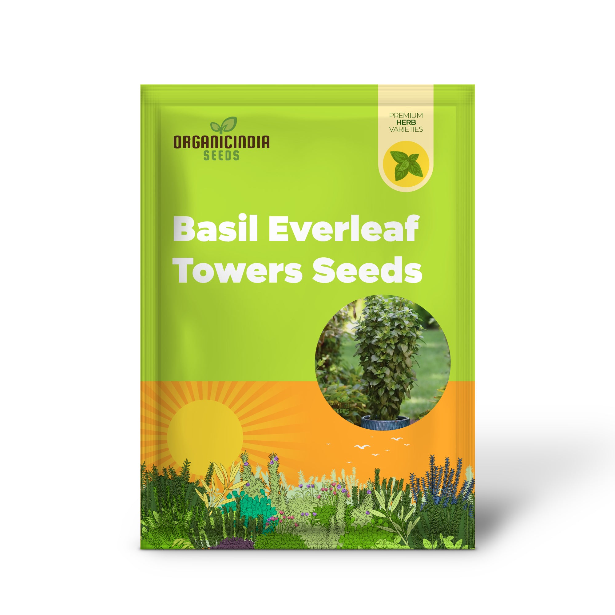 Basil Everleaf Emerald Towers Plant with Lush Green Leaves