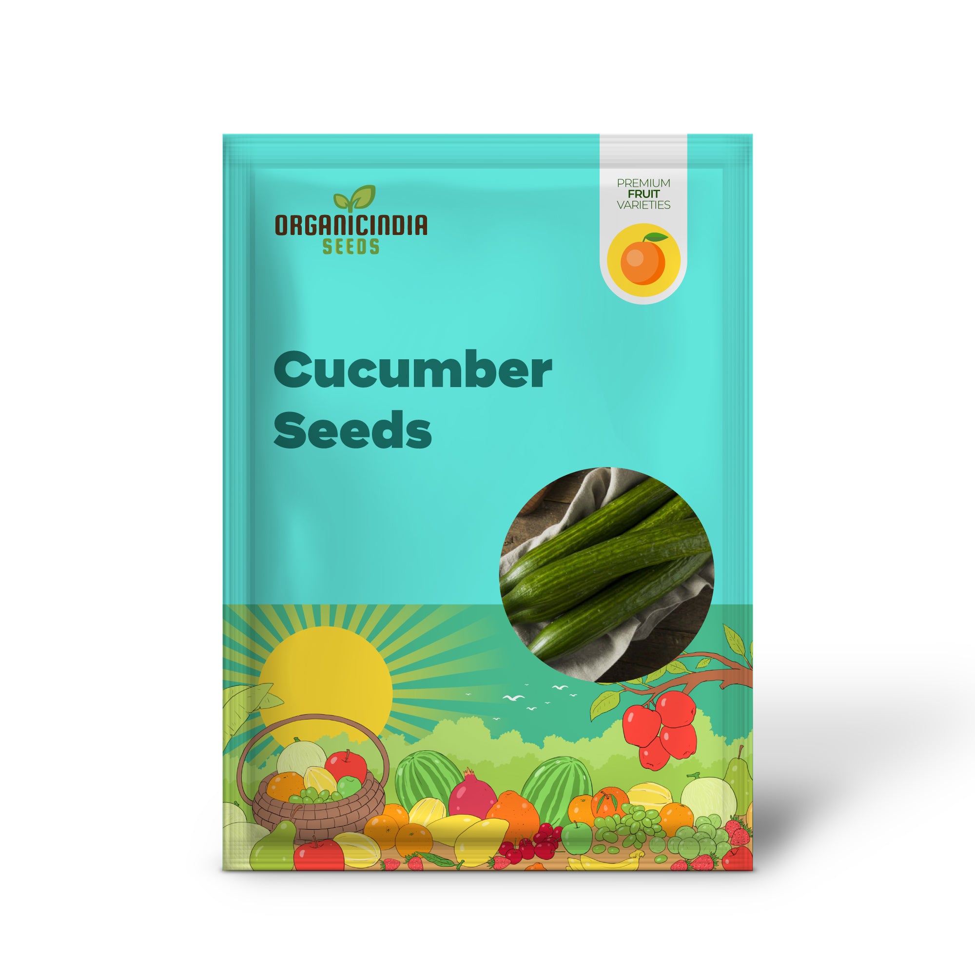 English Cucumber Plant Growing from Seeds – Home Garden Cucumbers