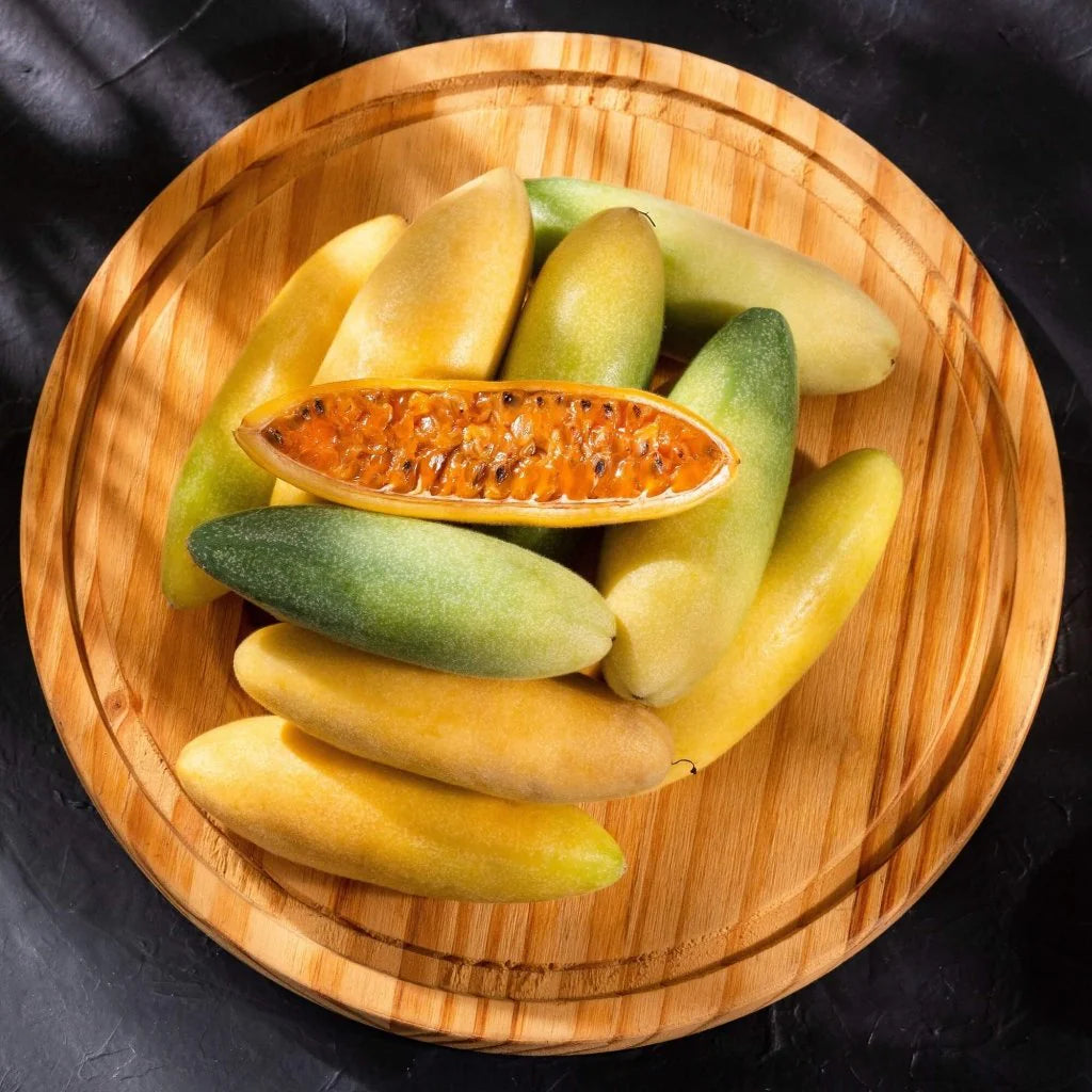 Exotic Banana Passion Fruit climbing vine for gardens and trellises