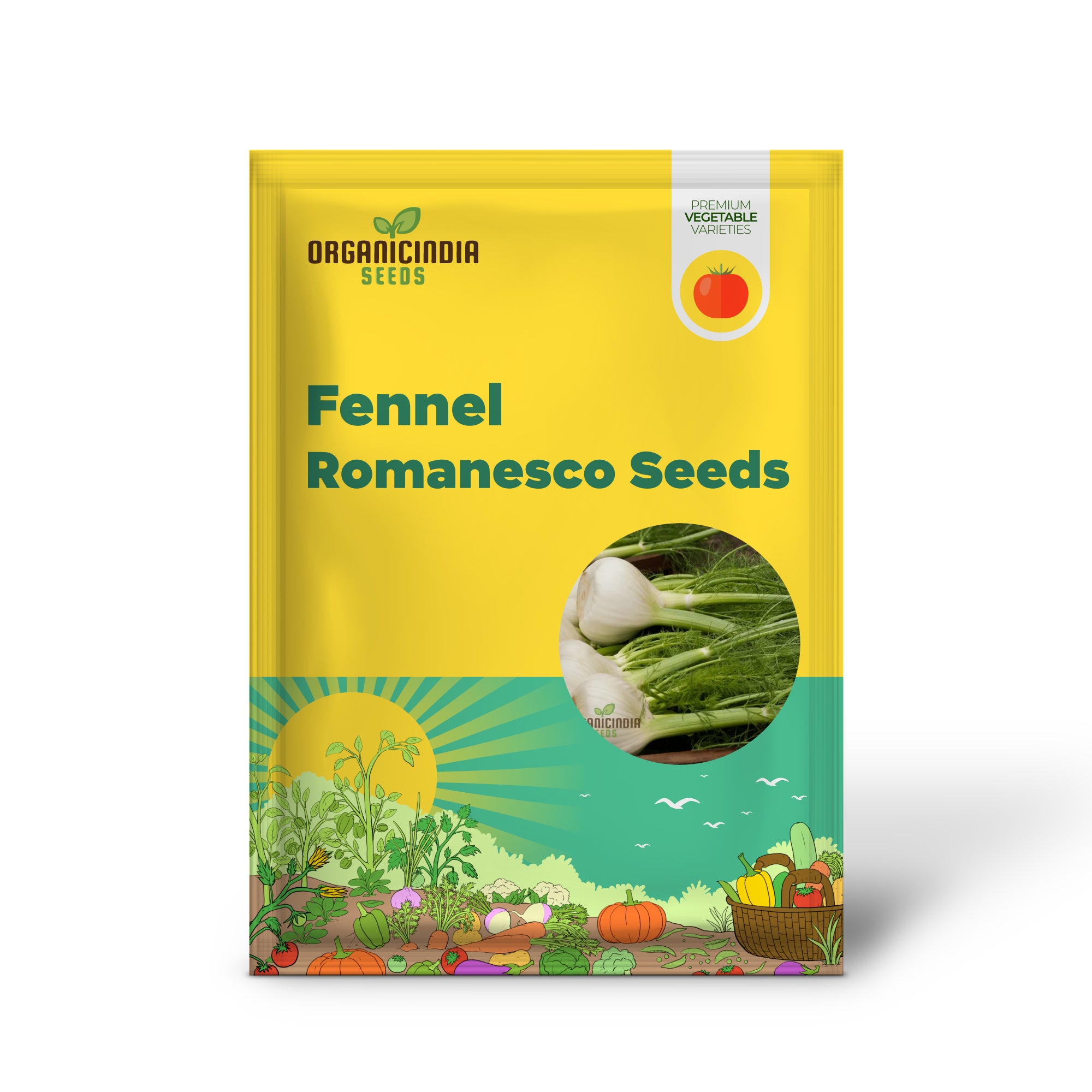 Fennel Romanesco Seedling in Garden, Aromatic and Productive Herb Plants
