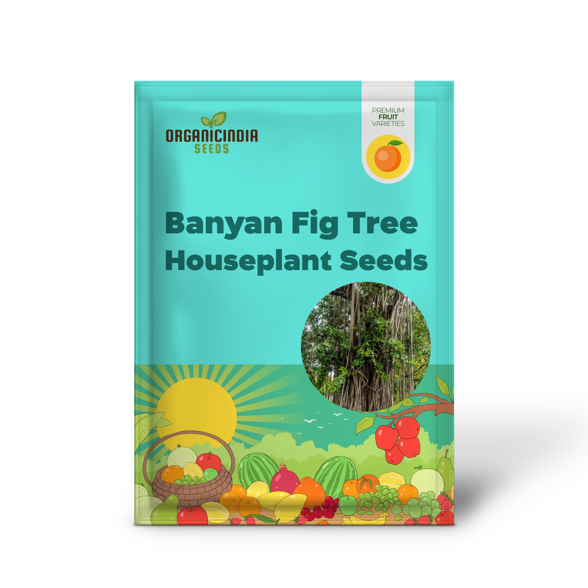 Ficus Benghalensis Banyan Tree Seeds for Home and Garden