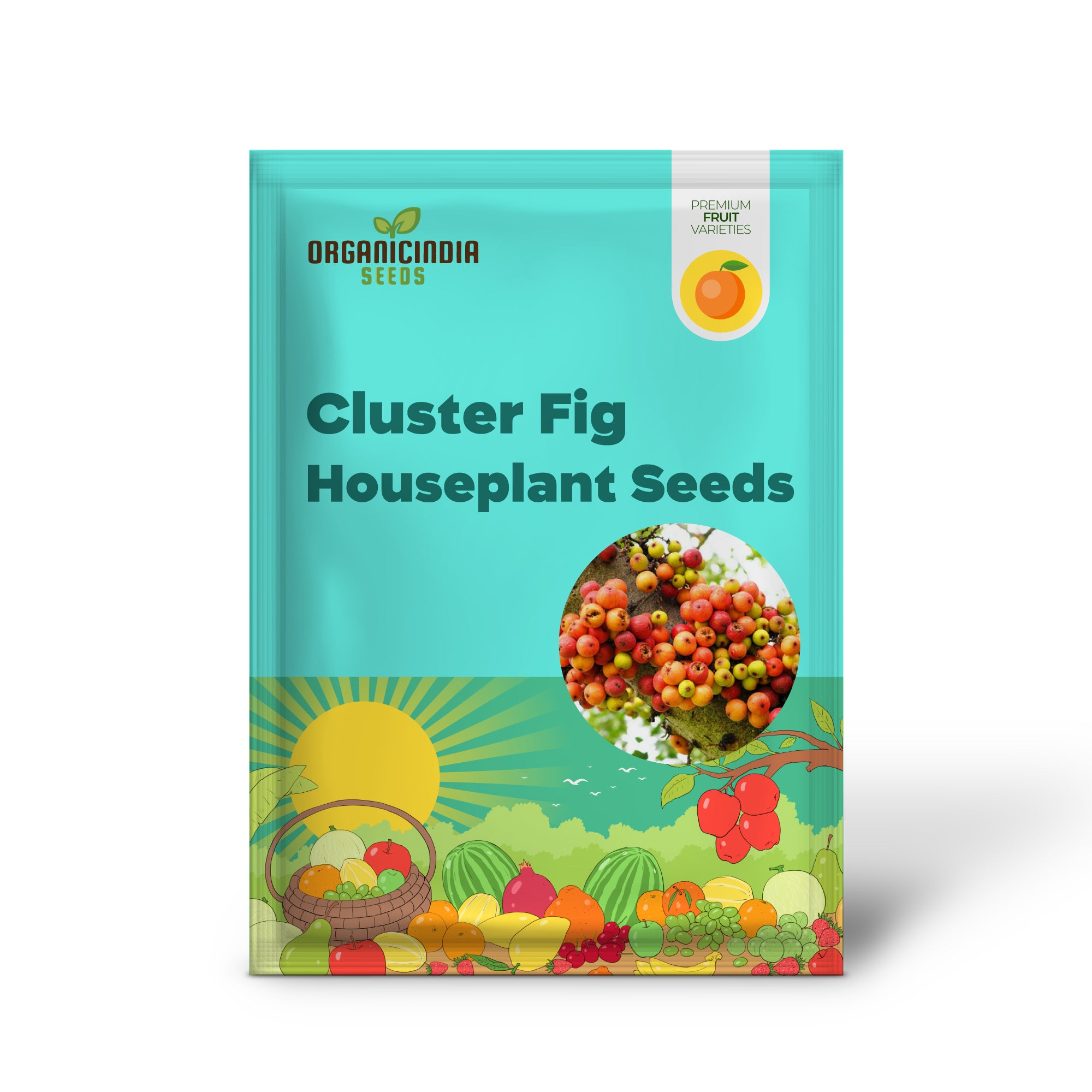 Young Fig Seedlings in Starter Tray