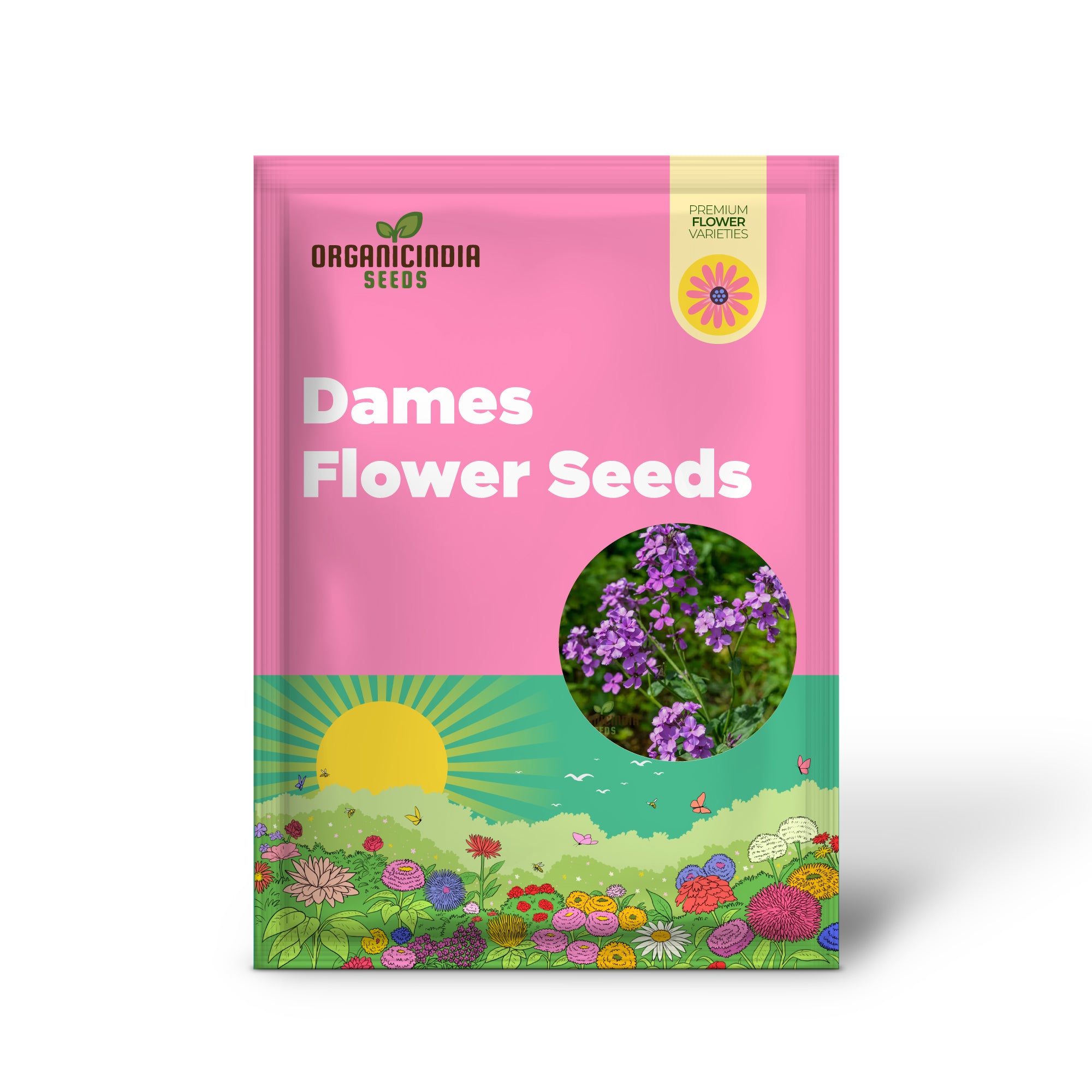 Fragrant Dames Rocket seeds for easy garden planting