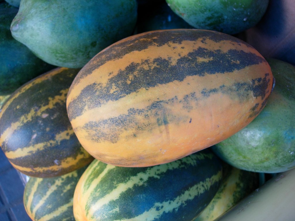 Close-Up of Fresh Lemon Cucumbers