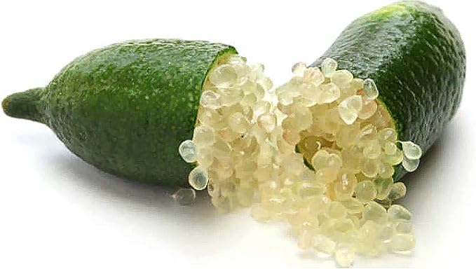 Garden Finger Lime Seeds for Planting Non-GMO Citrus Tree