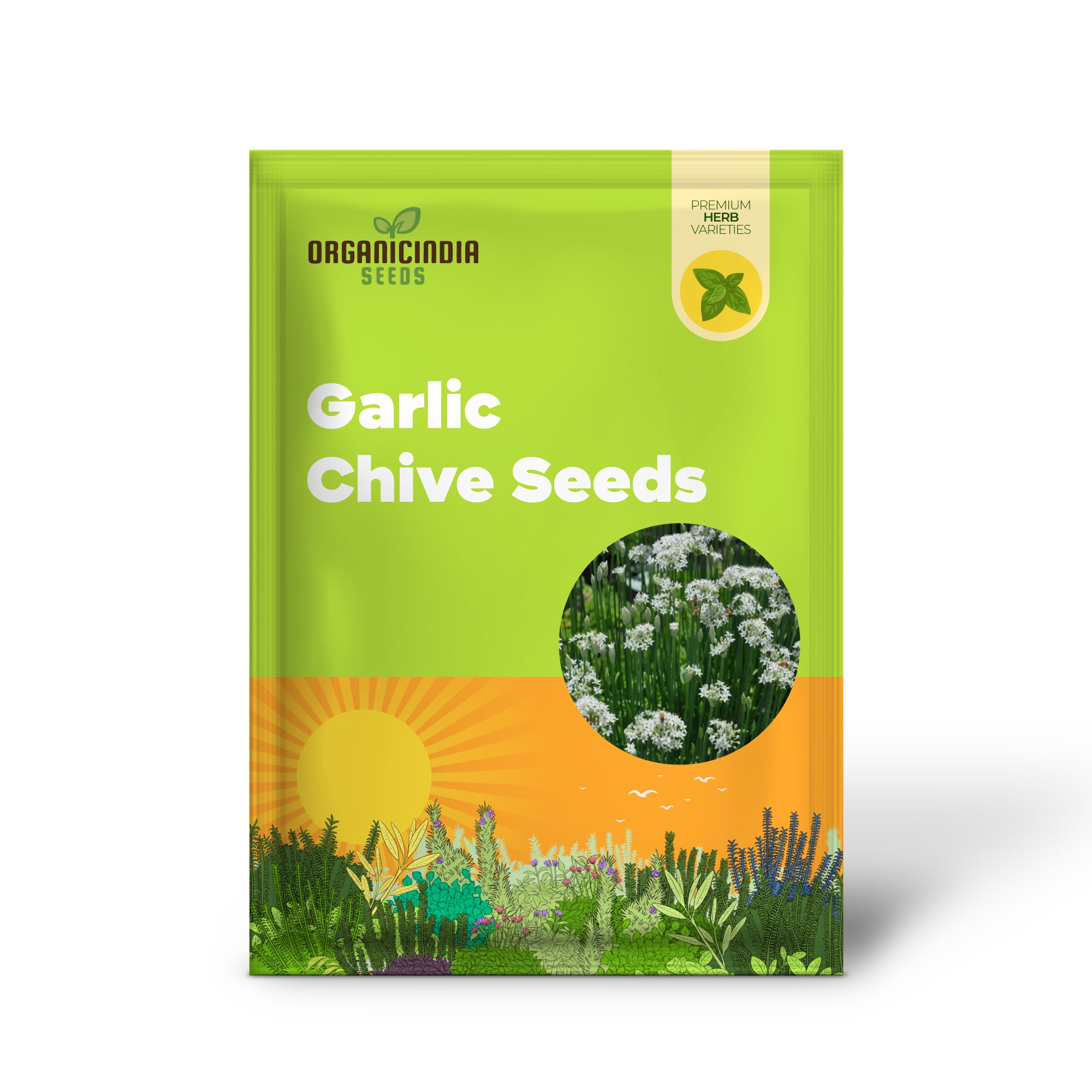 Close-up of Garlic Chive Seeds for Planting – Easy-Grow Herb Seeds