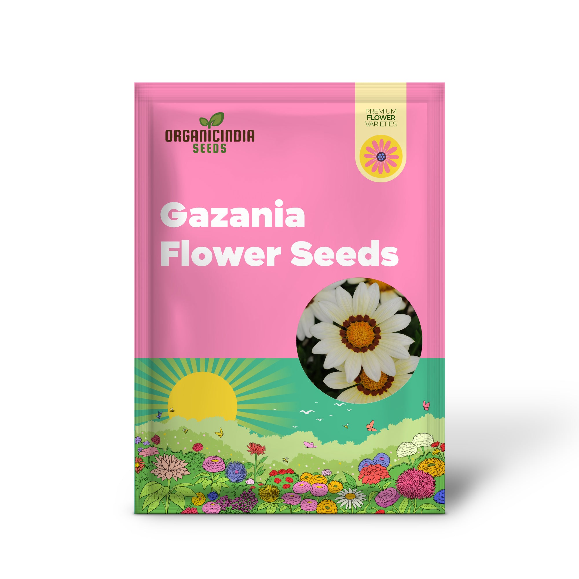 Gazania Daybreak White seeds germination in seed tray for home garden