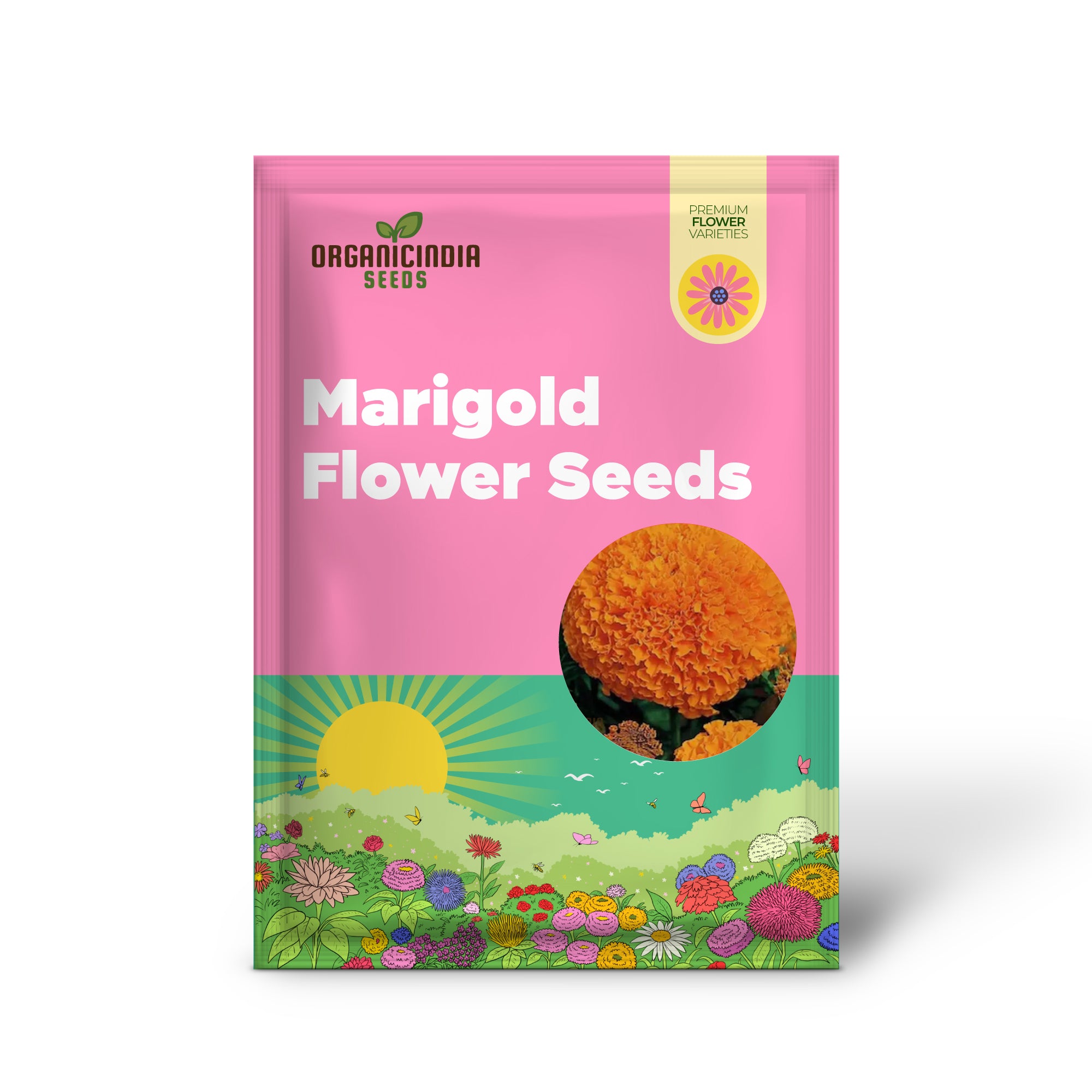 Non GMO hybrid marigold seeds for planting