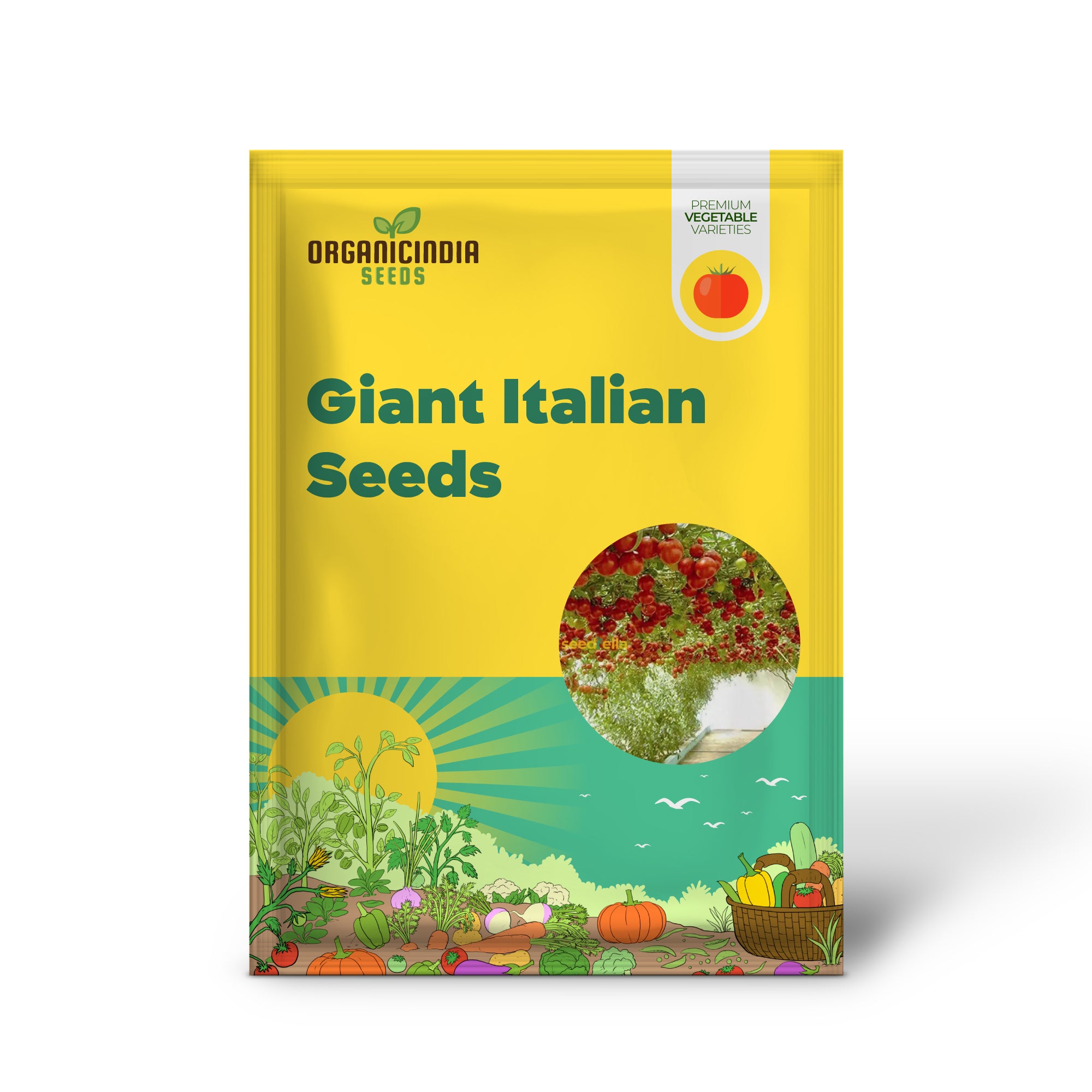 Giant Italian Seedling Growing from Seeds, Fast-Growing Robust Plant