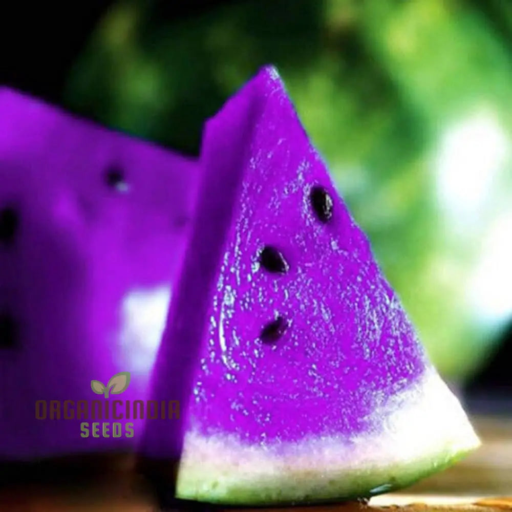 Giant Sweet Watermelon Seeds for Planting Large Juicy Melons