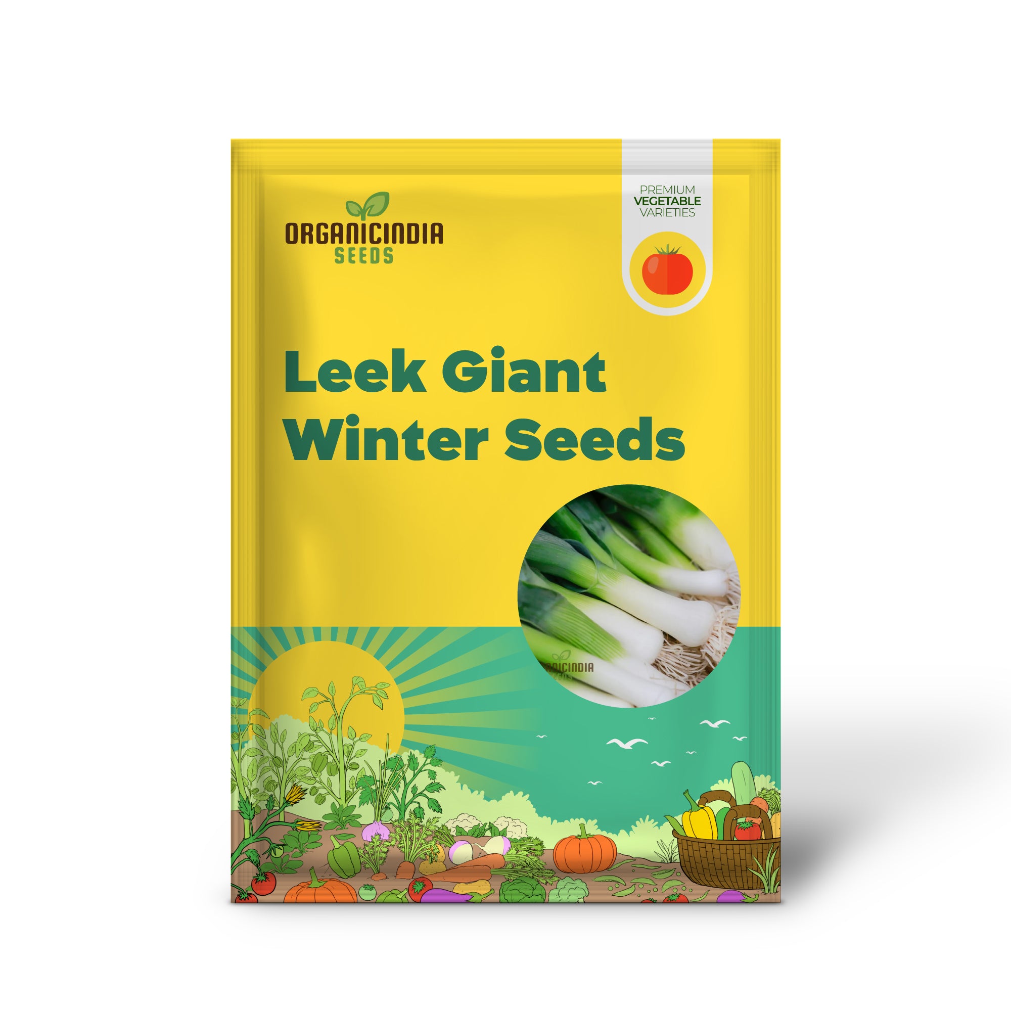 Giant Winter Leek Seedlings Growing from Seeds