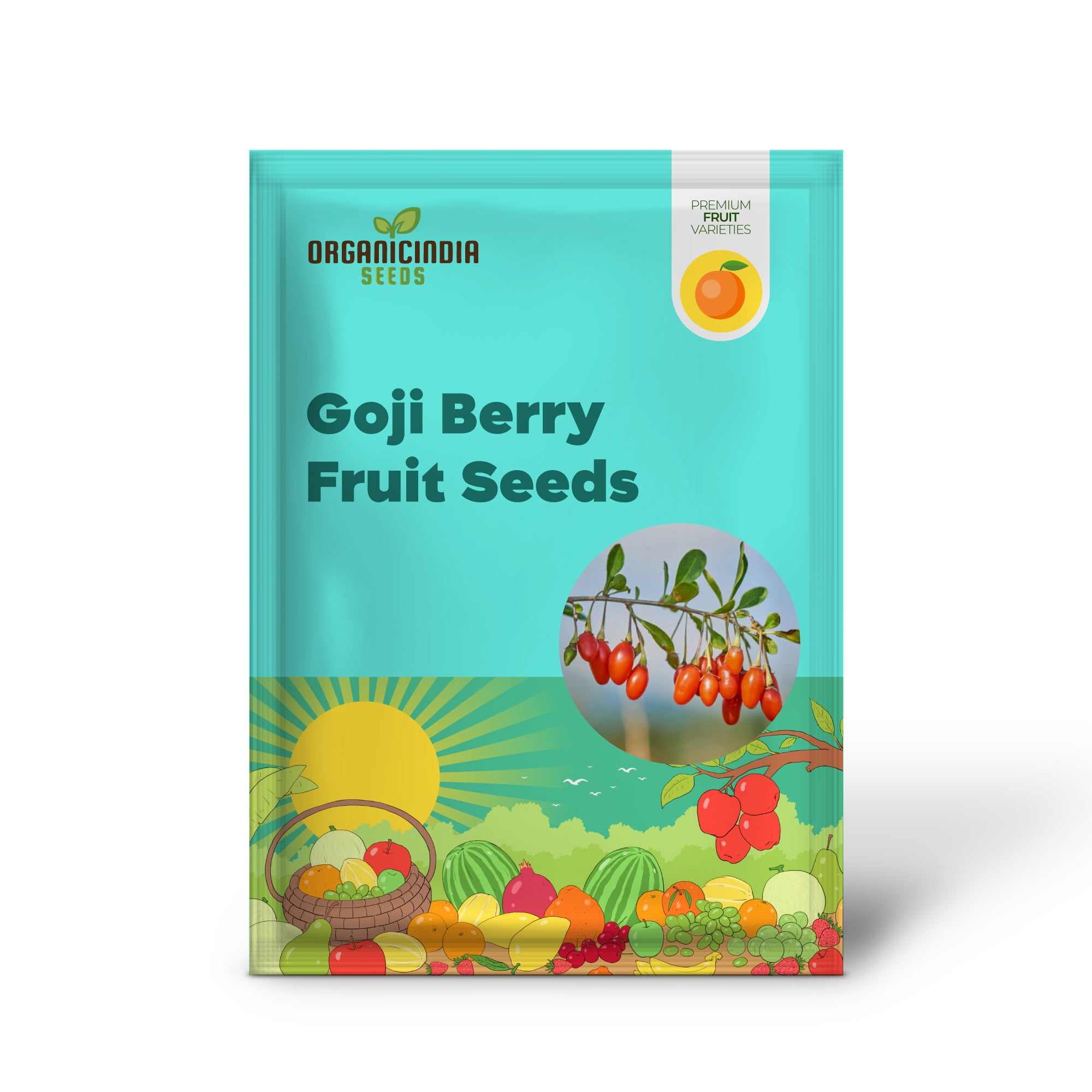 Young Goji Berry Seedlings Growing in Trays