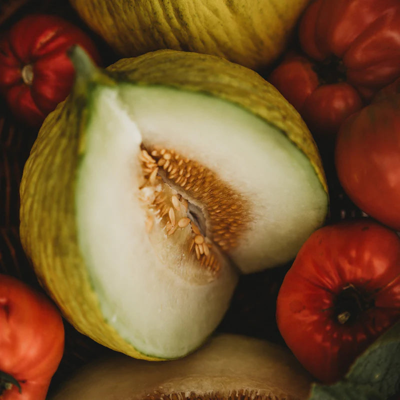 Premium Golden Beauty Casaba melon seeds for planting