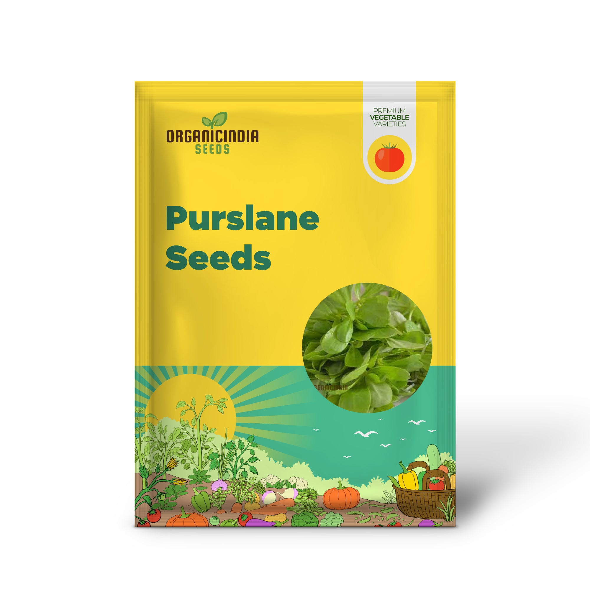 Golden Purslane Seedling for Garden, Easy-to-Grow Heirloom Plant Seeds