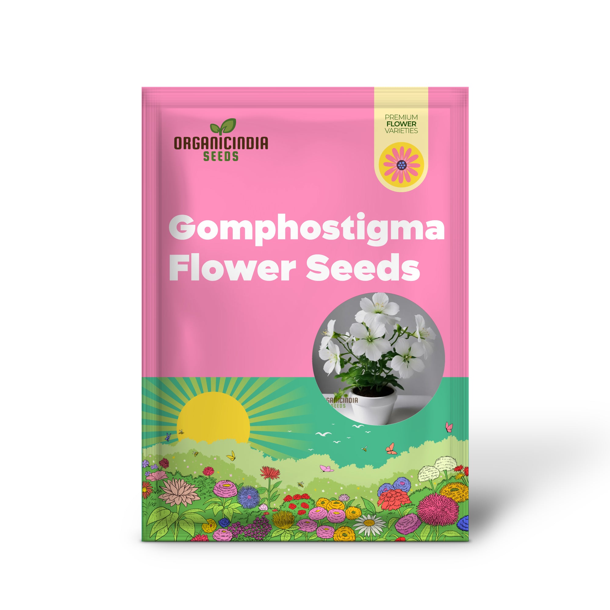 Gomphostigma Virgatum White Candy seeds for planting