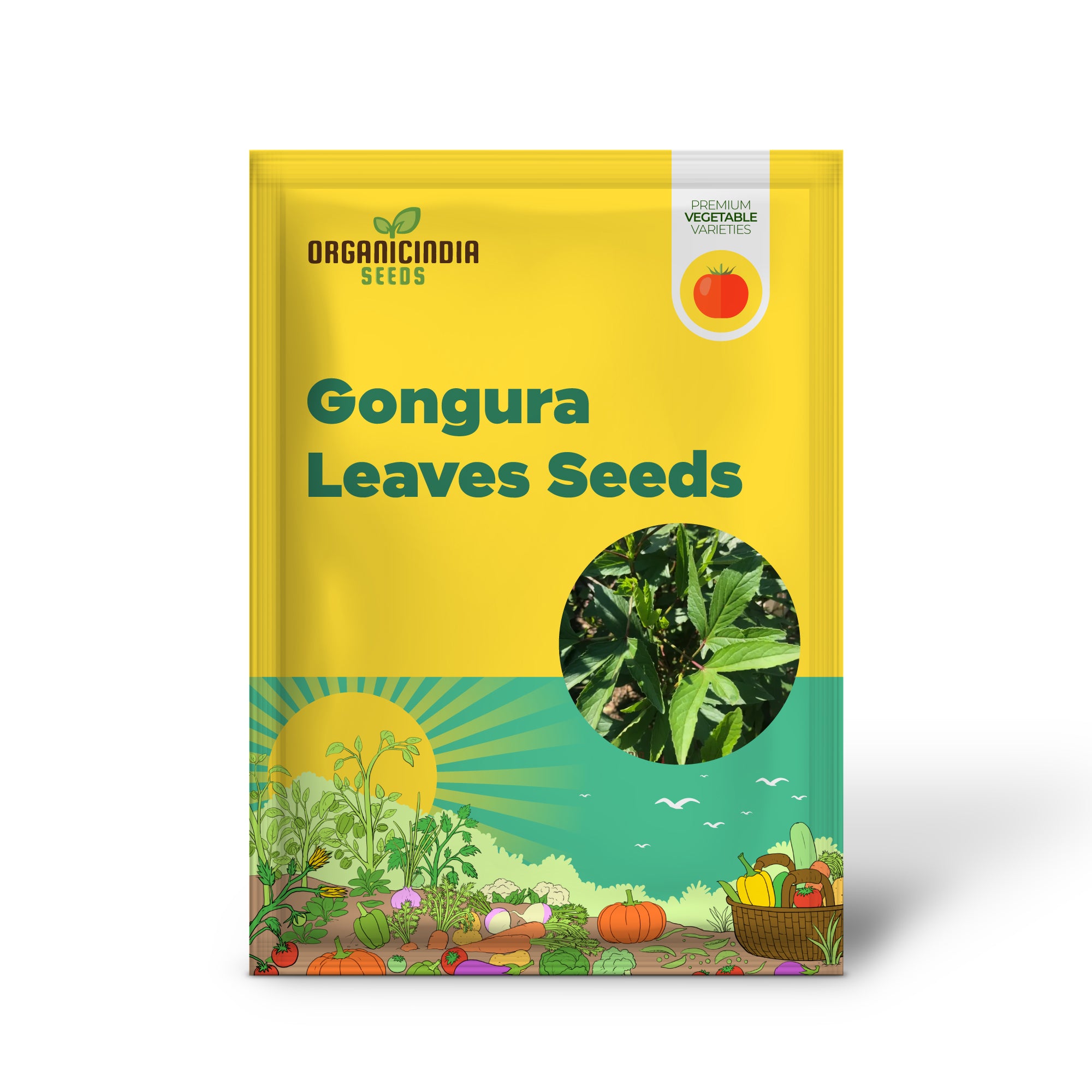 Gongura Seedling, Fast-Growing Leafy Vegetable Seeds for Garden