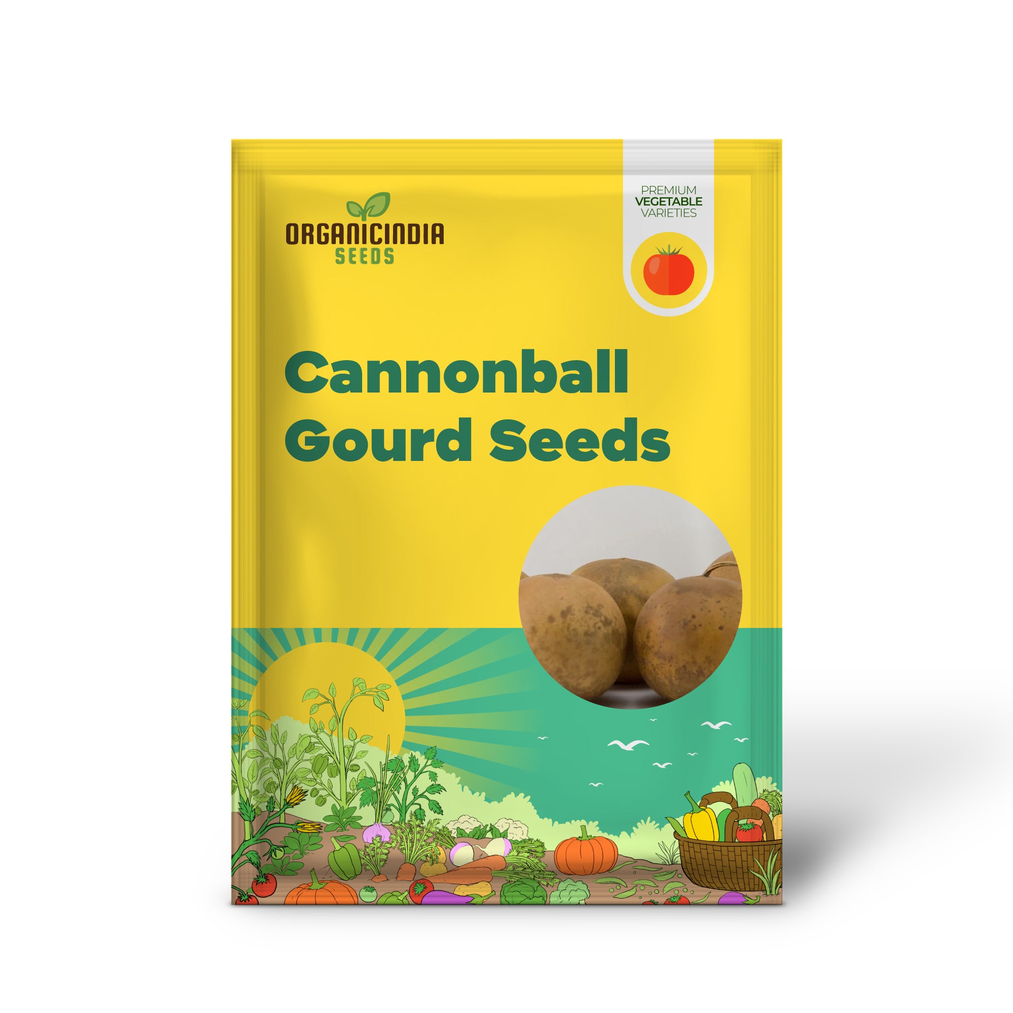 Cannonball Gourd Vine Growing on Trellis from Seeds