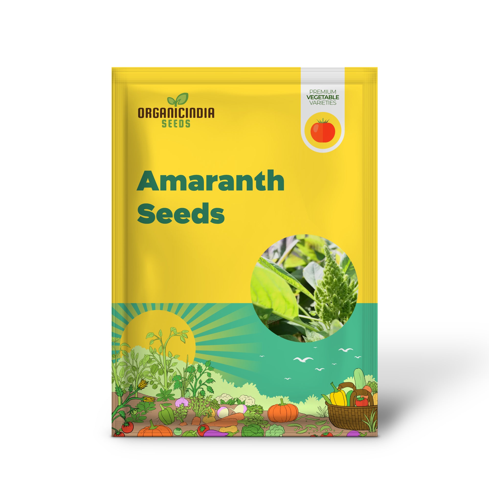 Green Thumb Amaranth Seedling in Garden, Easy-to-Grow Leafy Seeds