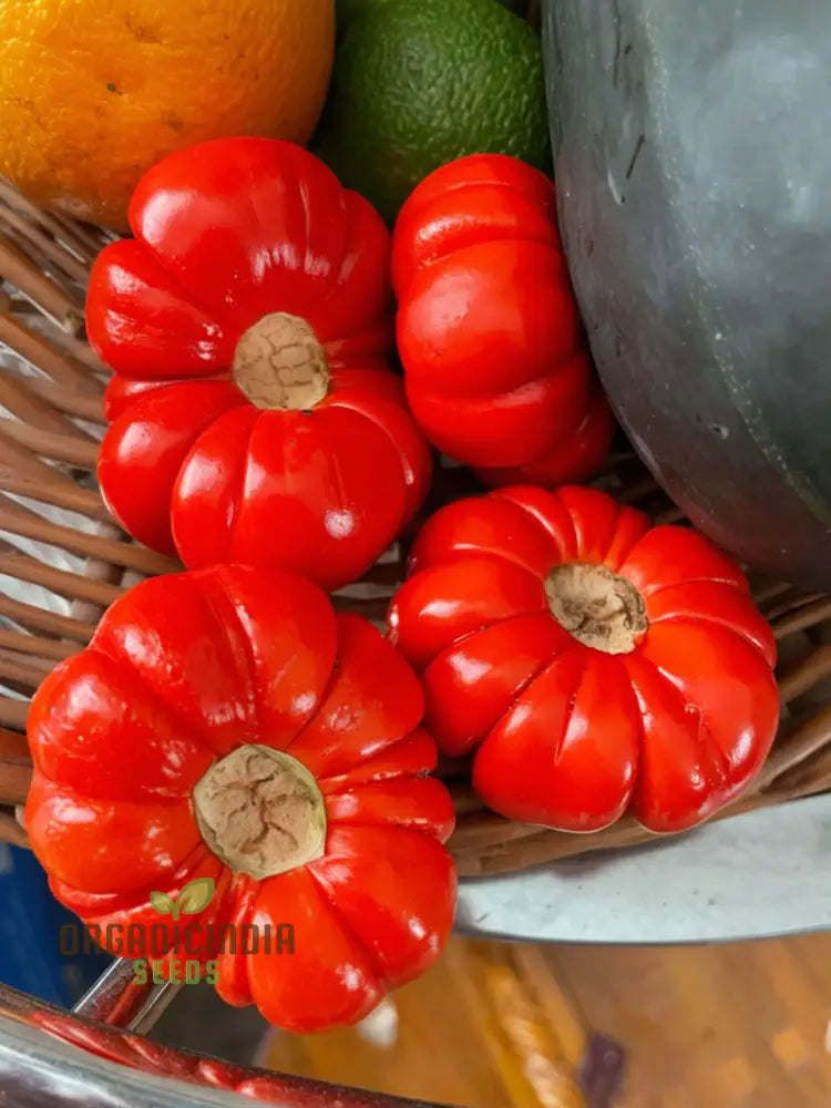 Grow Exotic Pumpkin Trees: Premium Solanum Integrifolium Seeds â€“ Unique Ornamental Fruit For Your