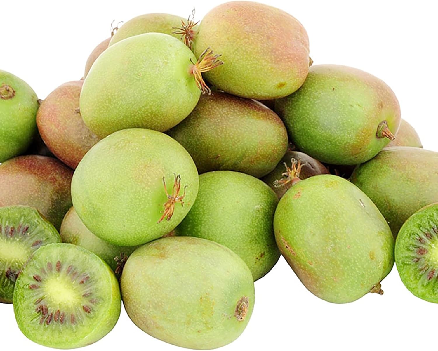 Hardy Kiwi Seedlings Growing Indoors Before Transplant