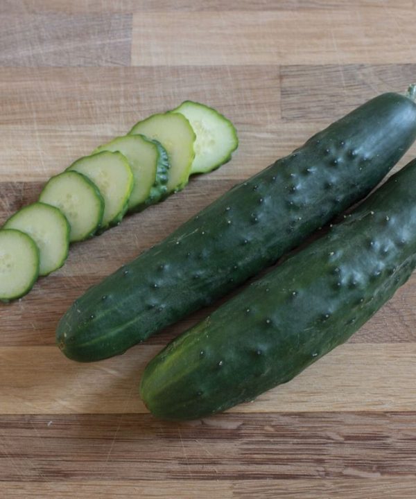 Mature Harmonie Cucumber Plant with Crisp Cucumbers from Seeds