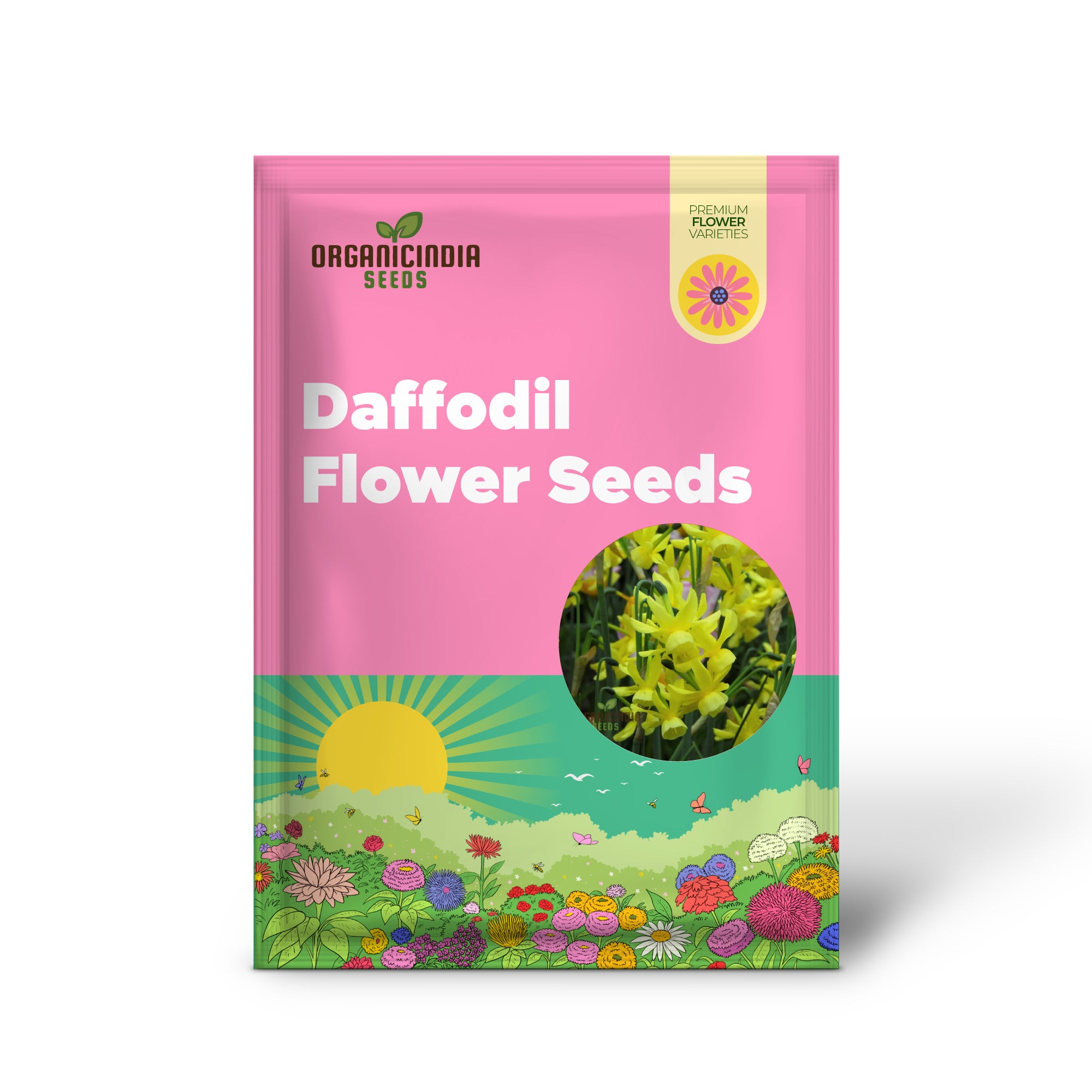 Narcissus Hawera Yellow Mini Daffodil Flower