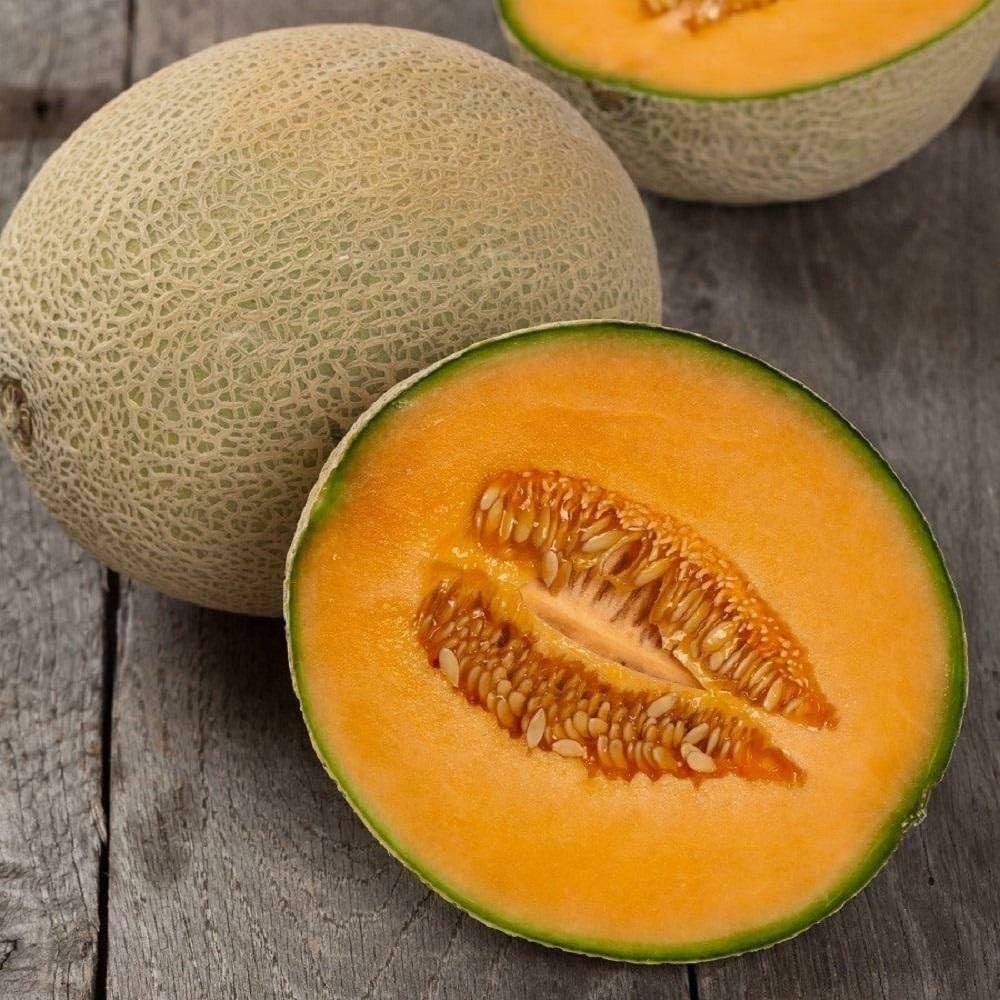 Heirloom melon seeds Hale’s Best Jumbo variety