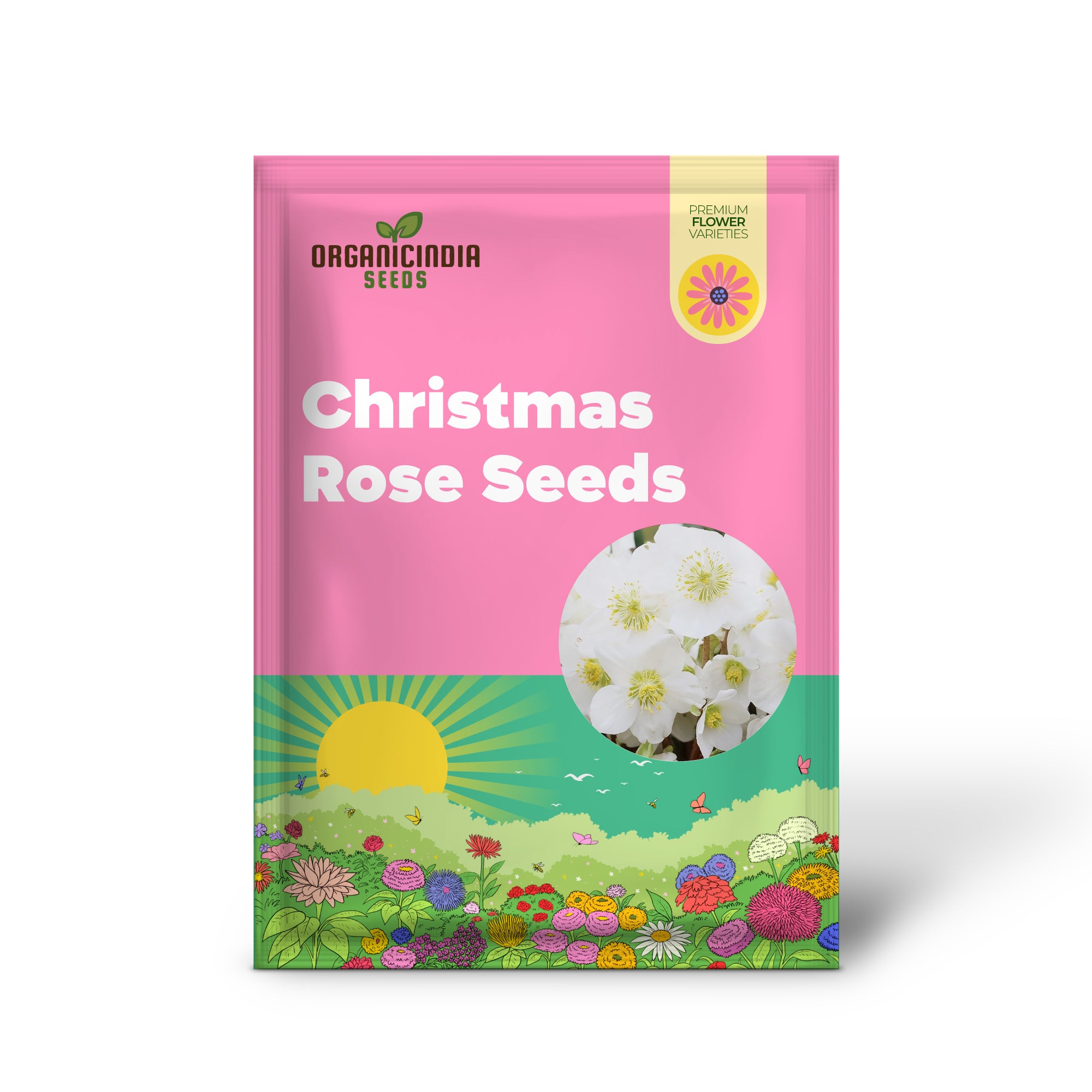 Helleborus Niger seeds hardy winter perennial