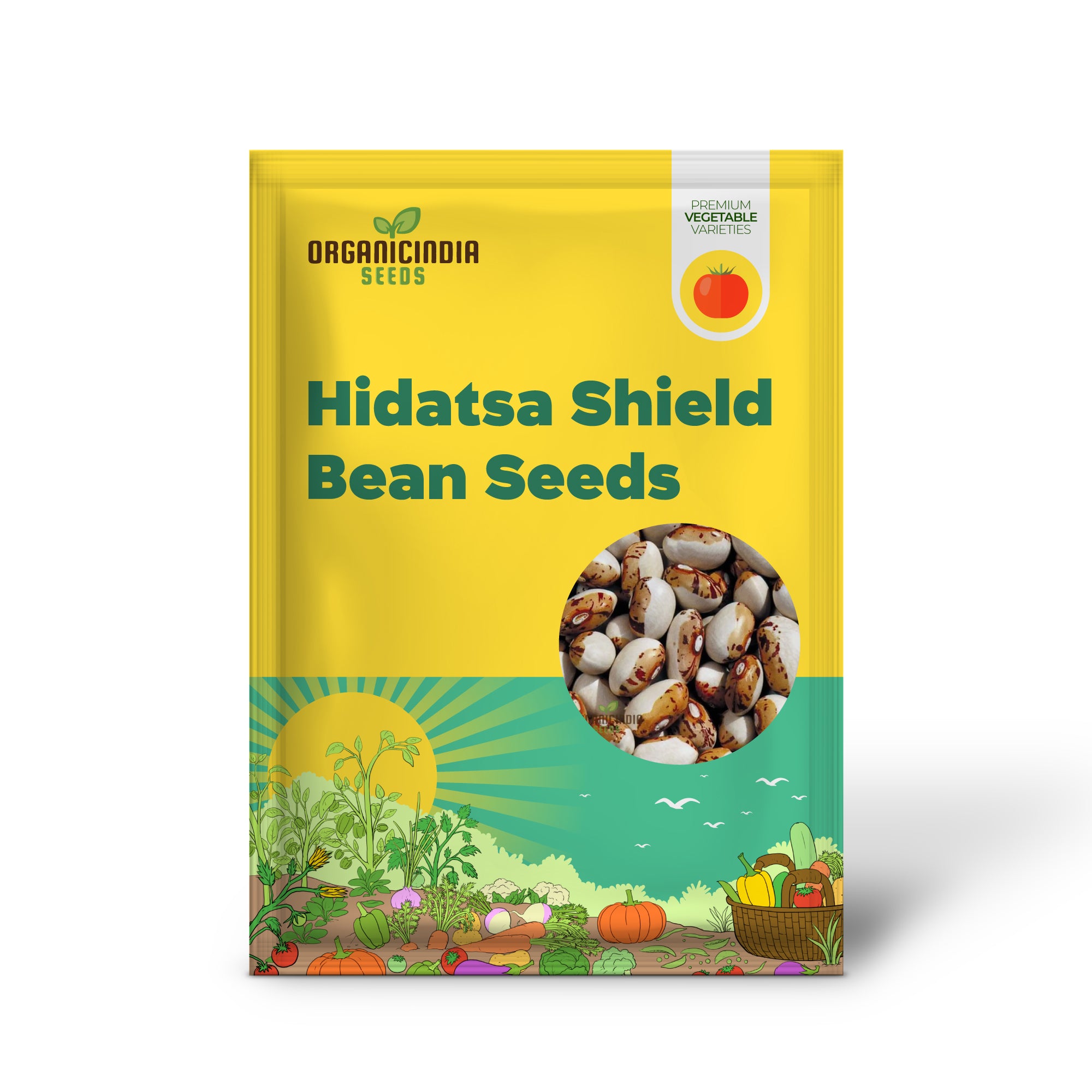 Hidatsa Shield Bean Seedling Growing in Garden, Easy-to-Grow Heirloom Beans