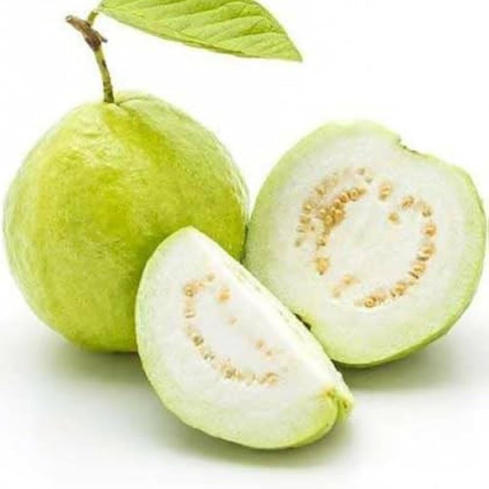 Psidium guajava non-GMO seeds for tropical fruit plant
