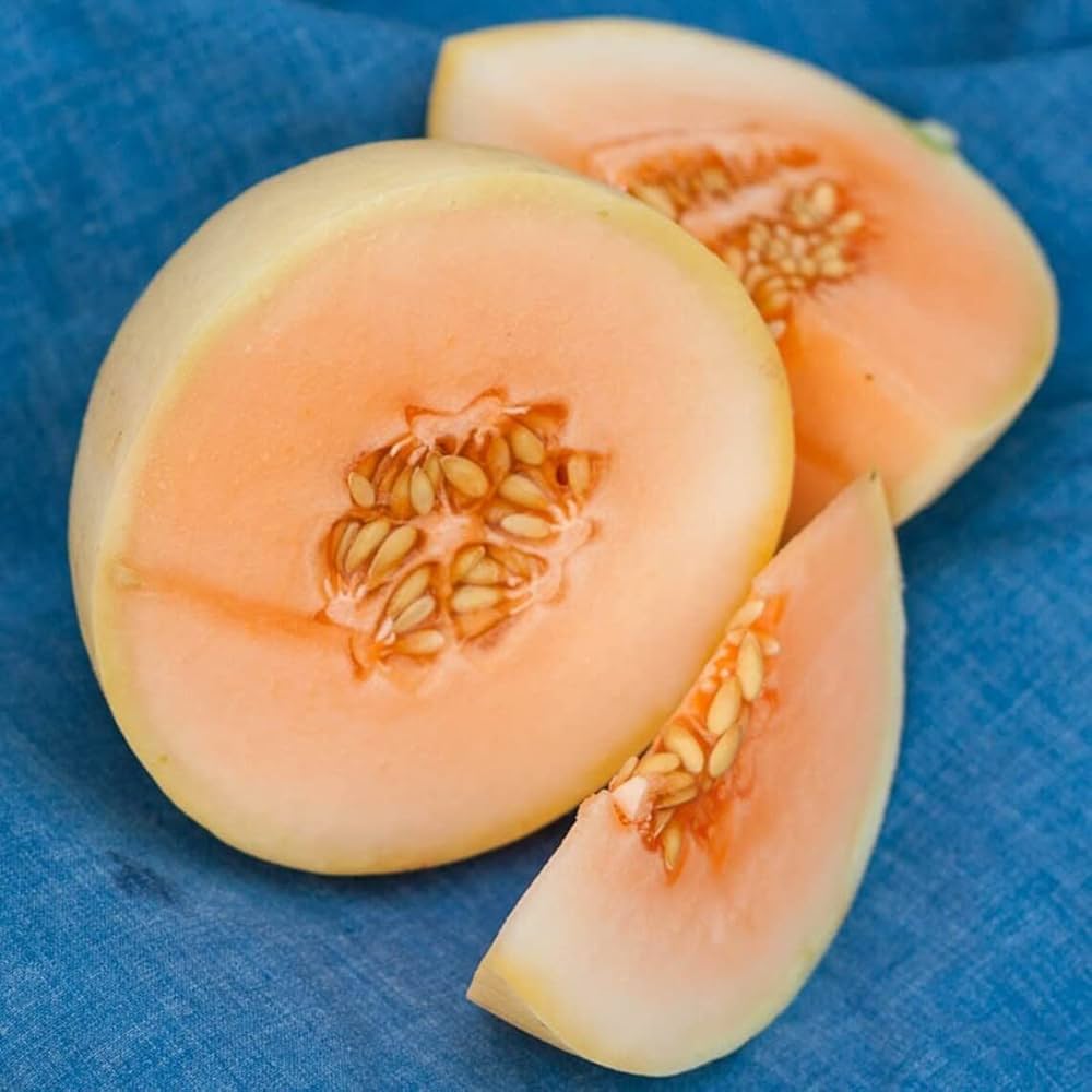 Sliced Honeydew Melon – Sweet and Refreshing Summer Fruit