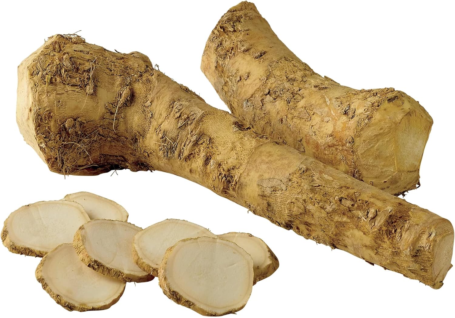 Fresh Red Cloe Horseradish Roots, Spicy Culinary Vegetable Seeds