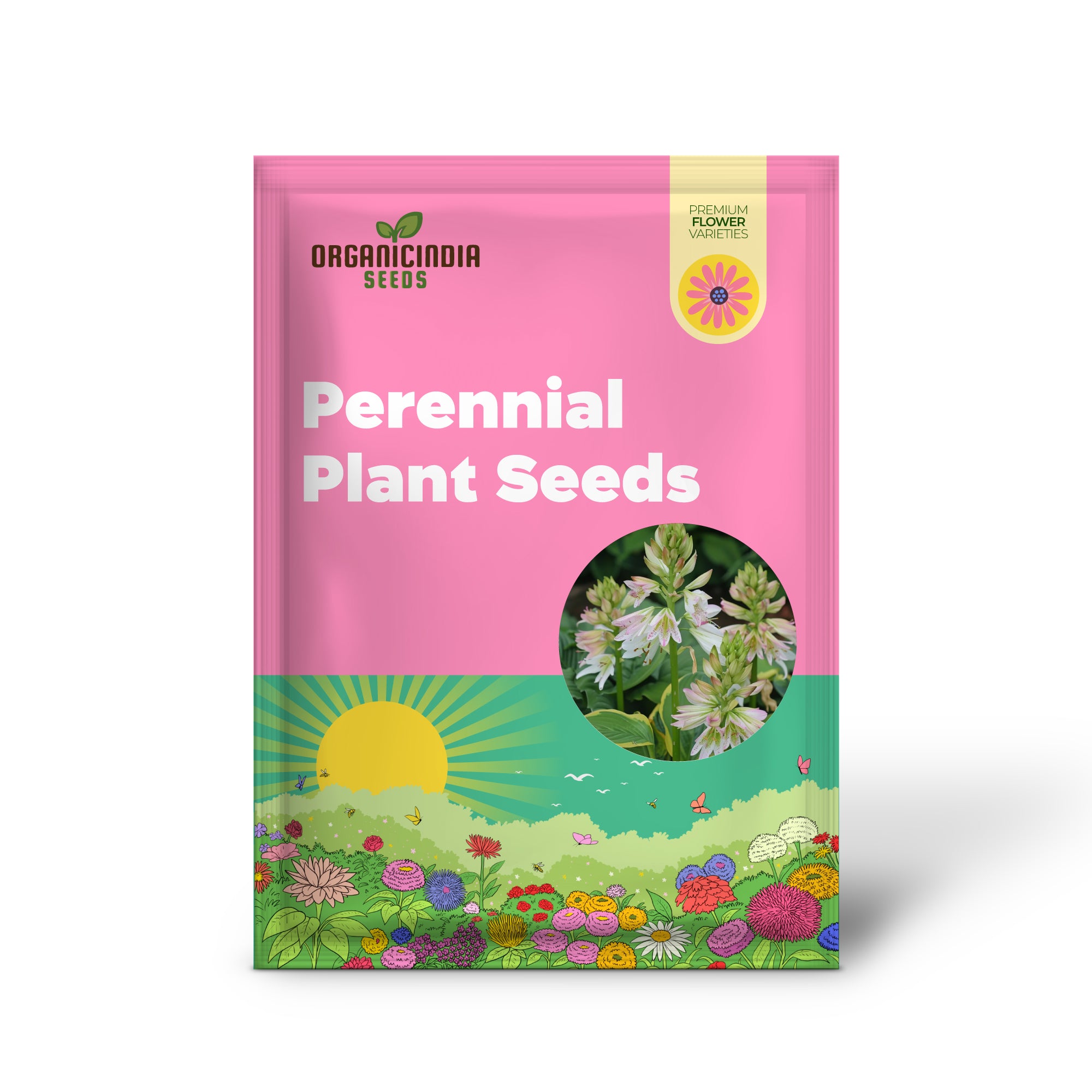 Hosta Jordan Perennial Plant Seeds for Ground Cover