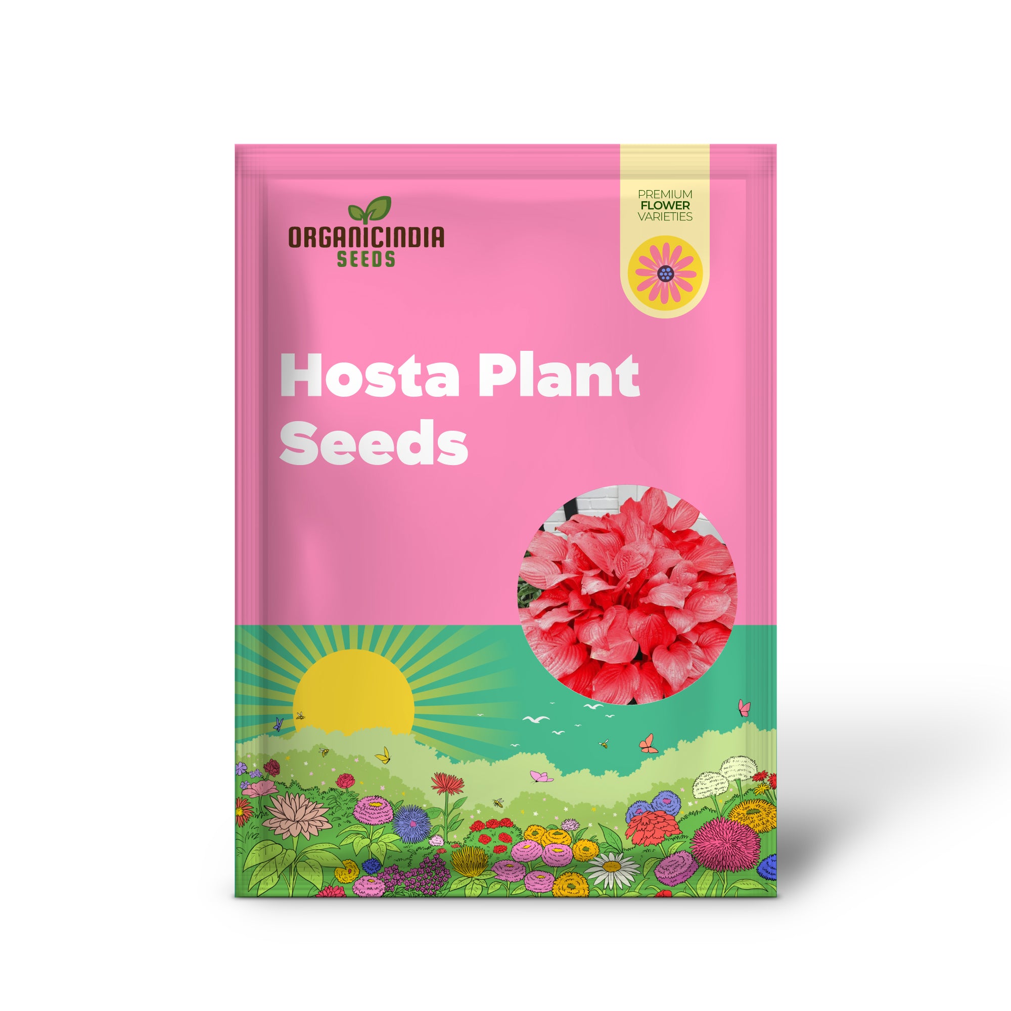 Hosta seeds with red foliage for garden planting