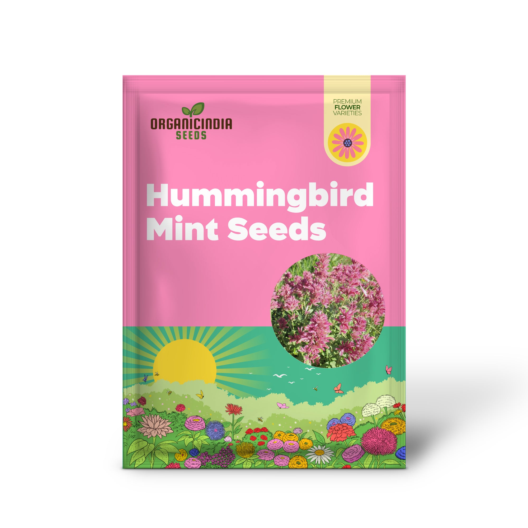 Hummingbird Mint Plant in Pollinator Butterfly Garden