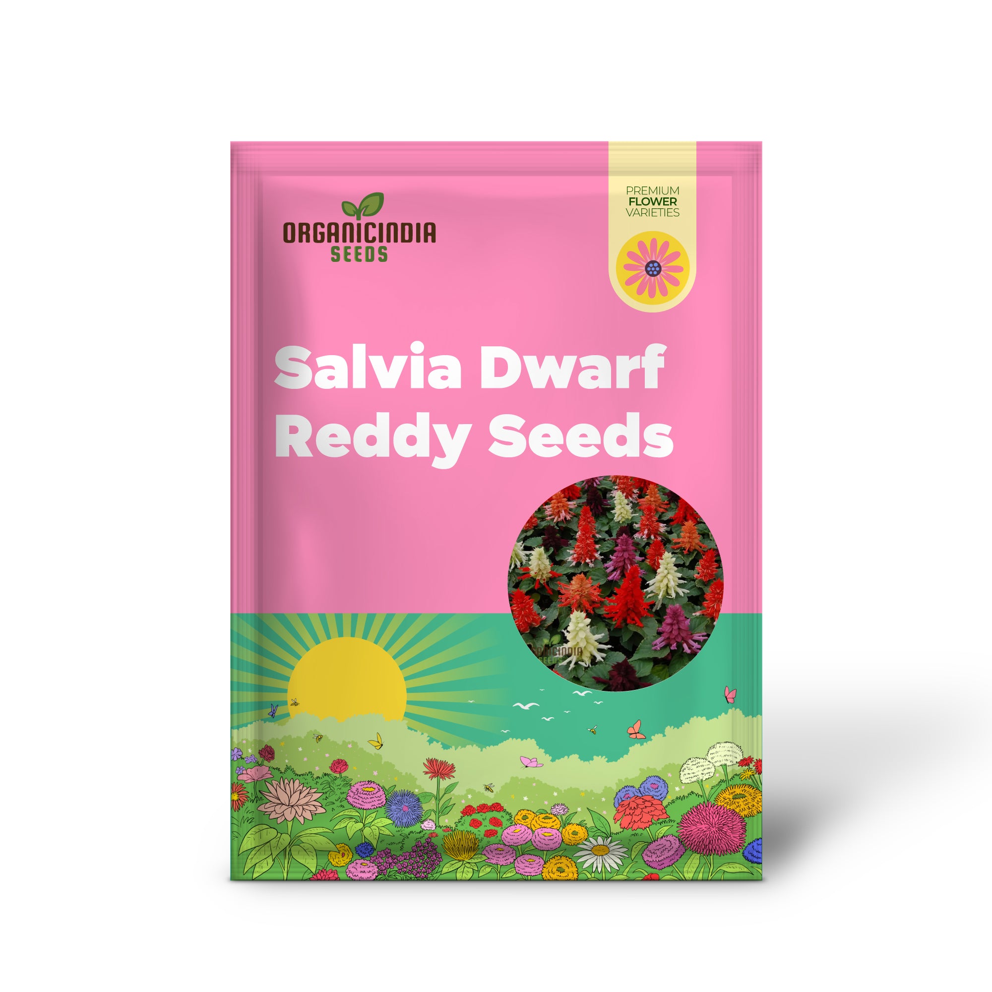 Hybrid Salvia Reddy Formula Mixed Seeds for Vibrant Flowers